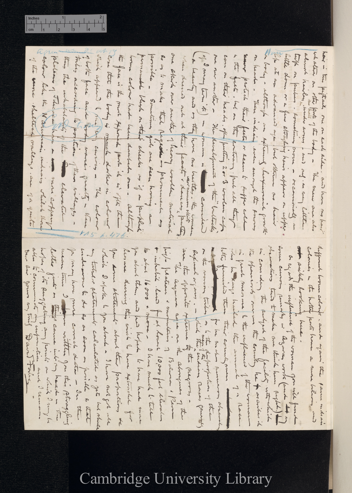 David Forbes to Charles Robert Darwin