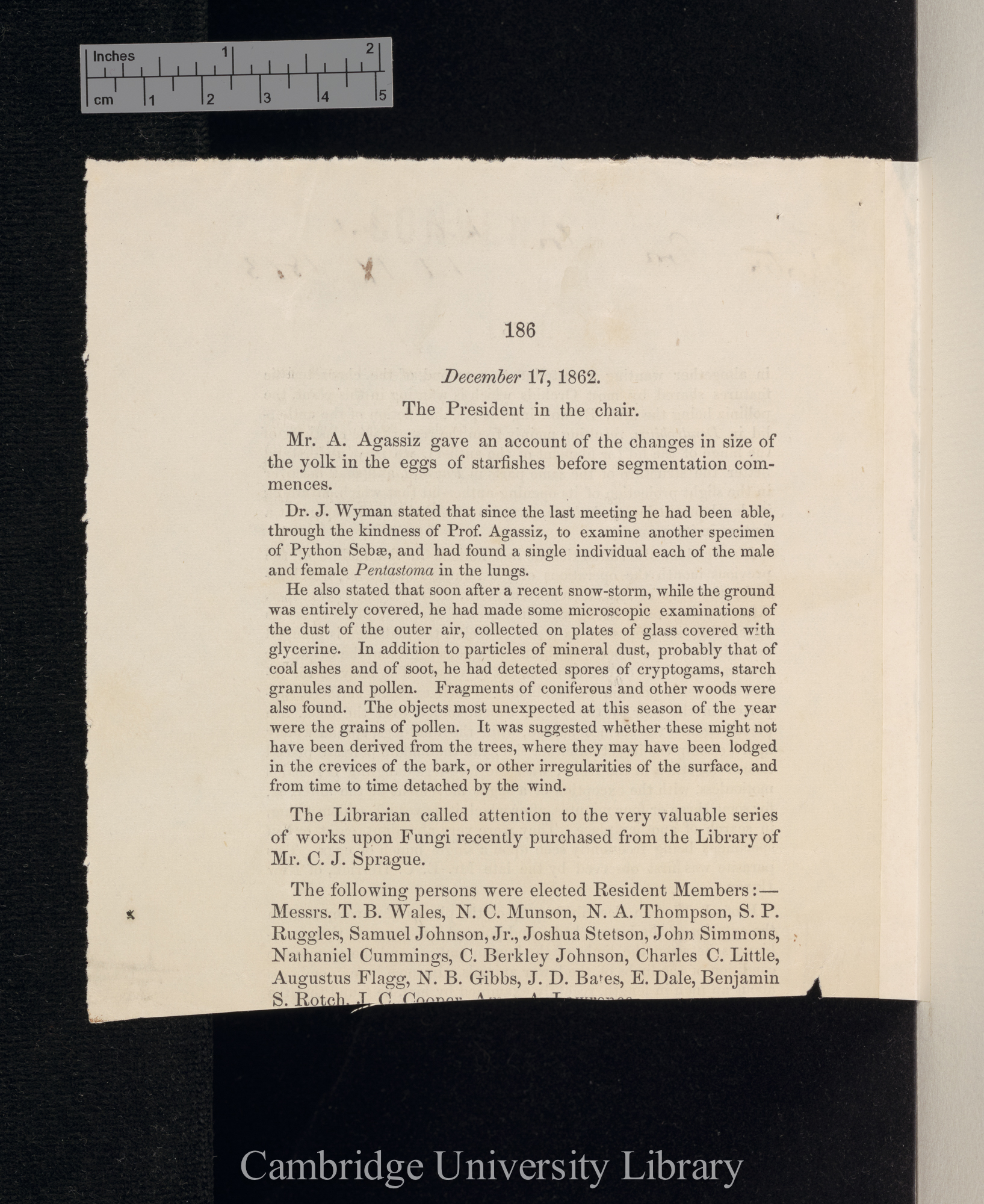 &#39;Boston Society of Natural History (Proceedings)&#39; 9: 186