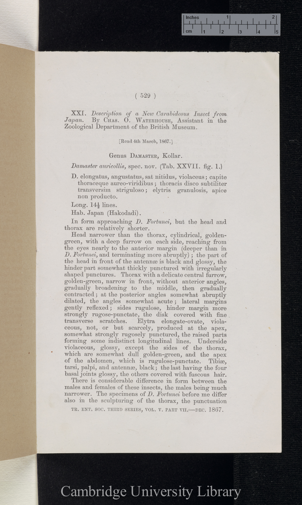 Waterhouse, Charles Owen. Description of a new carabideous insect from Japan &#39;Entomological Society (Transactions)&#39; 3s 5: 529