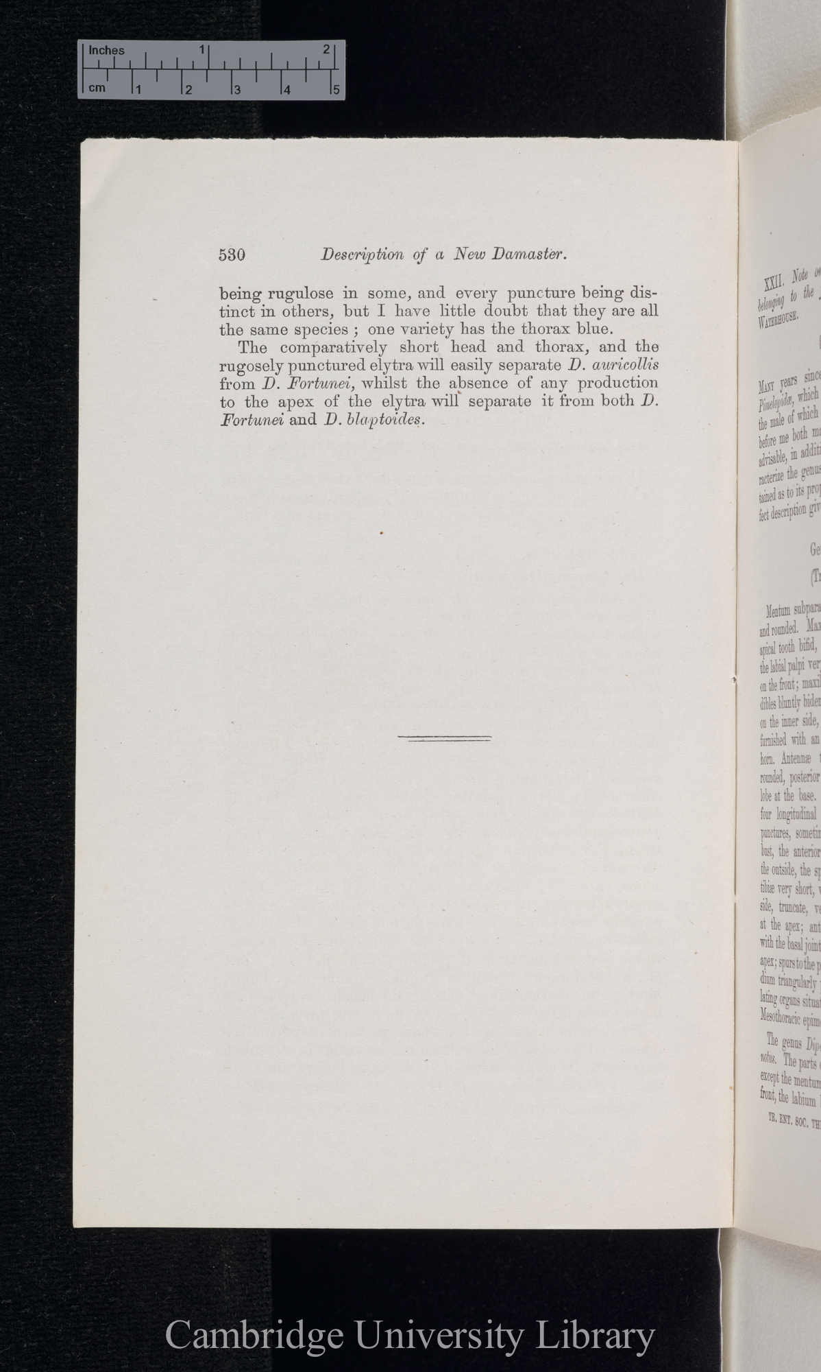 Waterhouse, Charles Owen. Description of a new carabideous insect from Japan &#39;Entomological Society (Transactions)&#39; 3s 5: 530