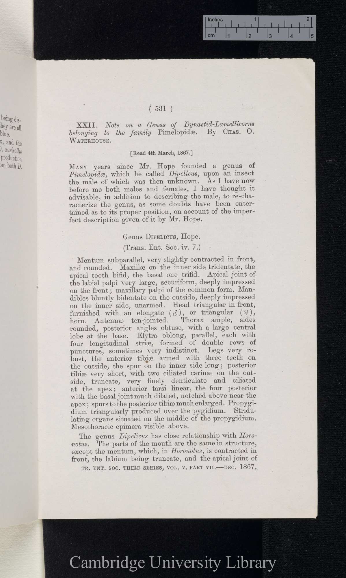 Waterhouse, Charles Owen. Note on a genus of dynastid-lamellicorns belonging to the family Pimelopidae &#39;Entomological Society (Transactions)&#39; 3s 5: 531