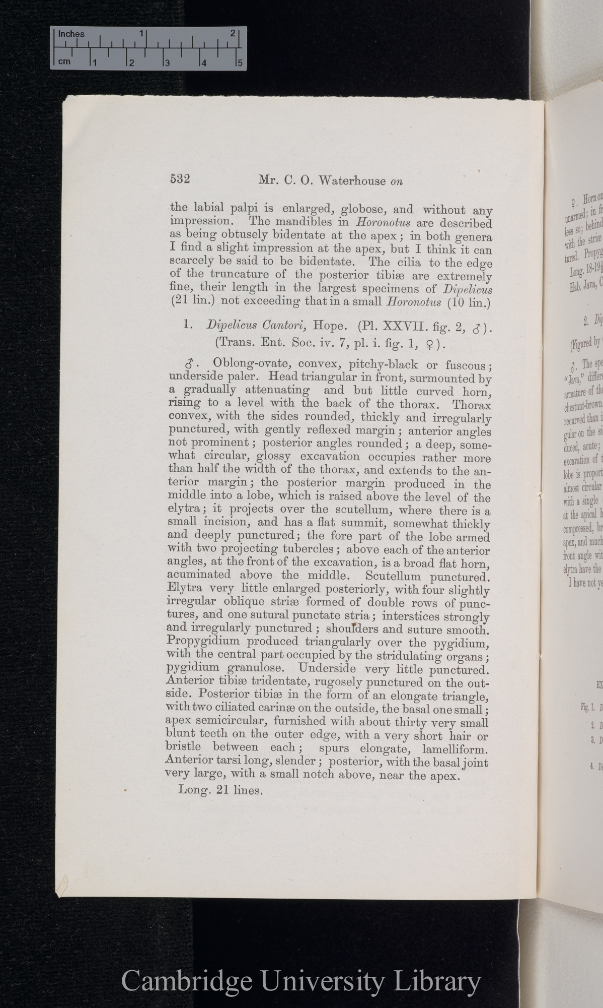 Waterhouse, Charles Owen. Note on a genus of dynastid-lamellicorns belonging to the family Pimelopidae &#39;Entomological Society (Transactions)&#39; 3s 5: 532