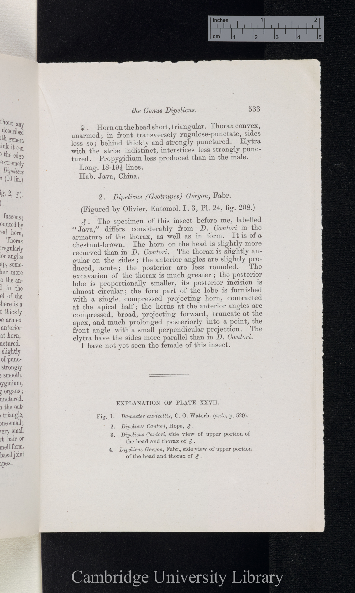 Waterhouse, Charles Owen. Note on a genus of dynastid-lamellicorns belonging to the family Pimelopidae &#39;Entomological Society (Transactions)&#39; 3s 5: 533