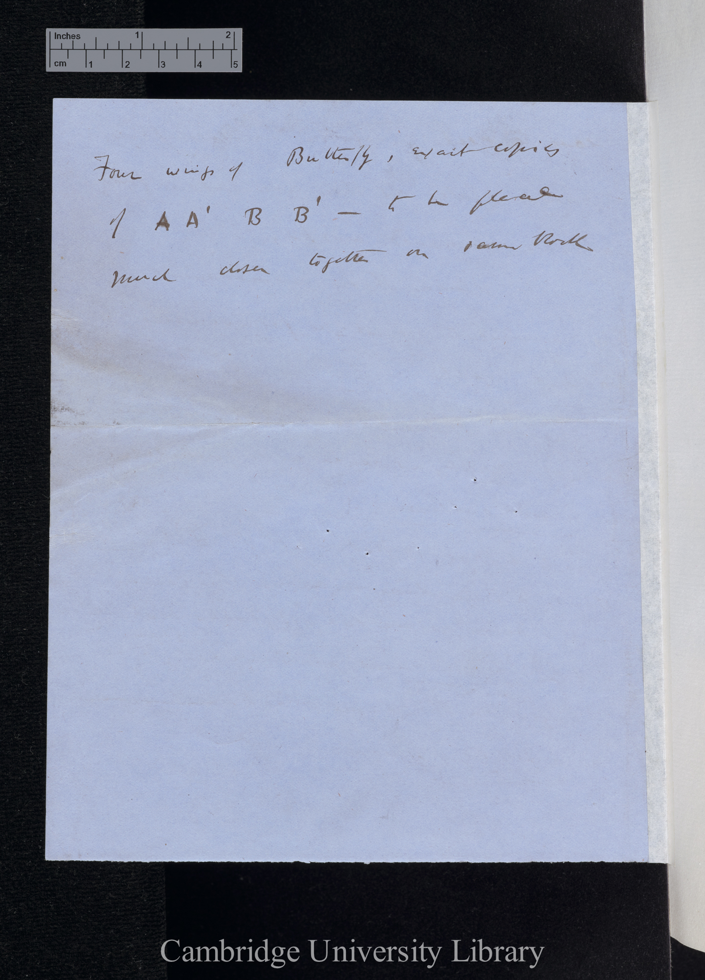 Charles Robert Darwin to [Edgar Albert Smith]