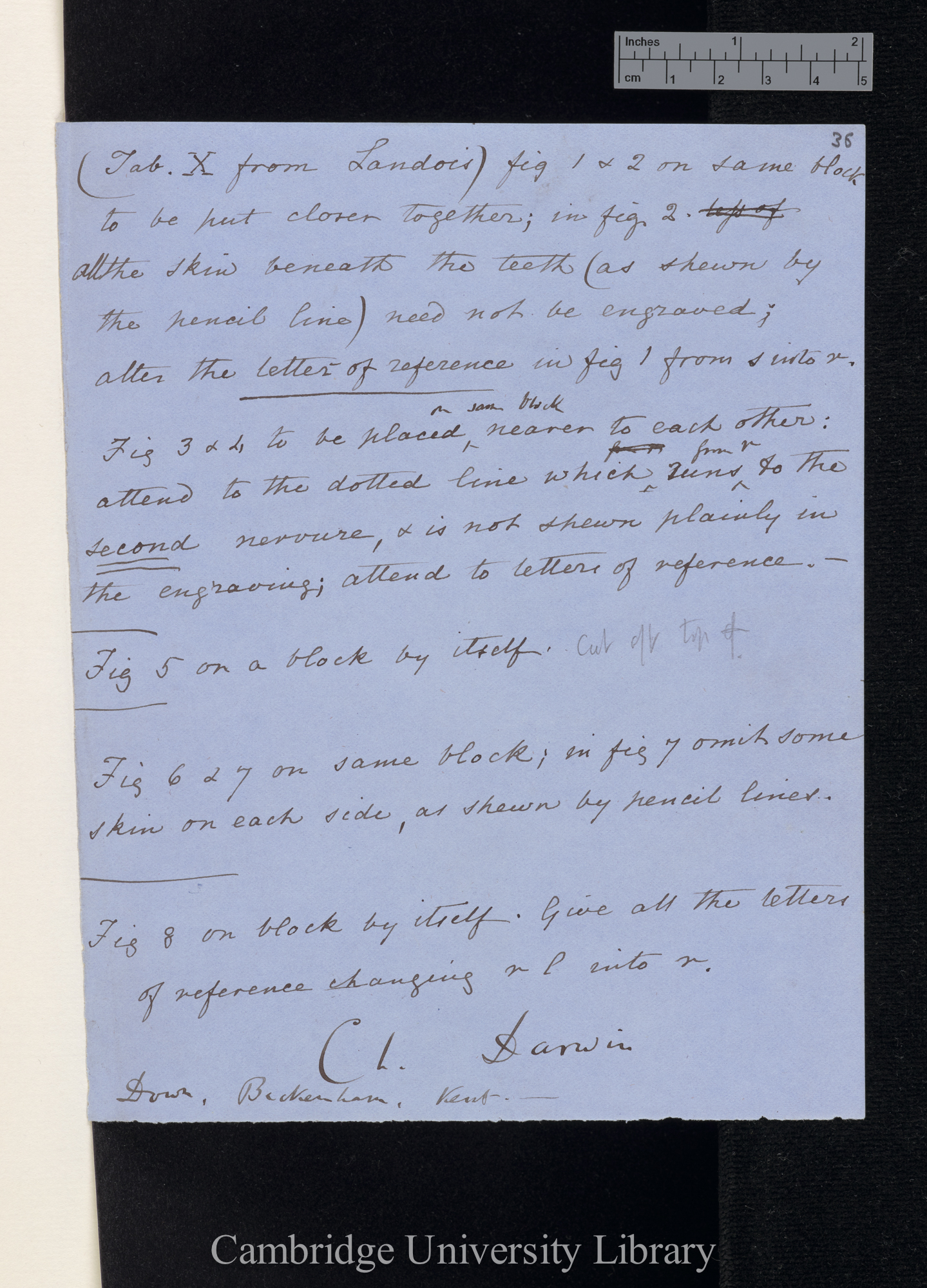 Charles Robert Darwin to [Edgar Albert Smith]