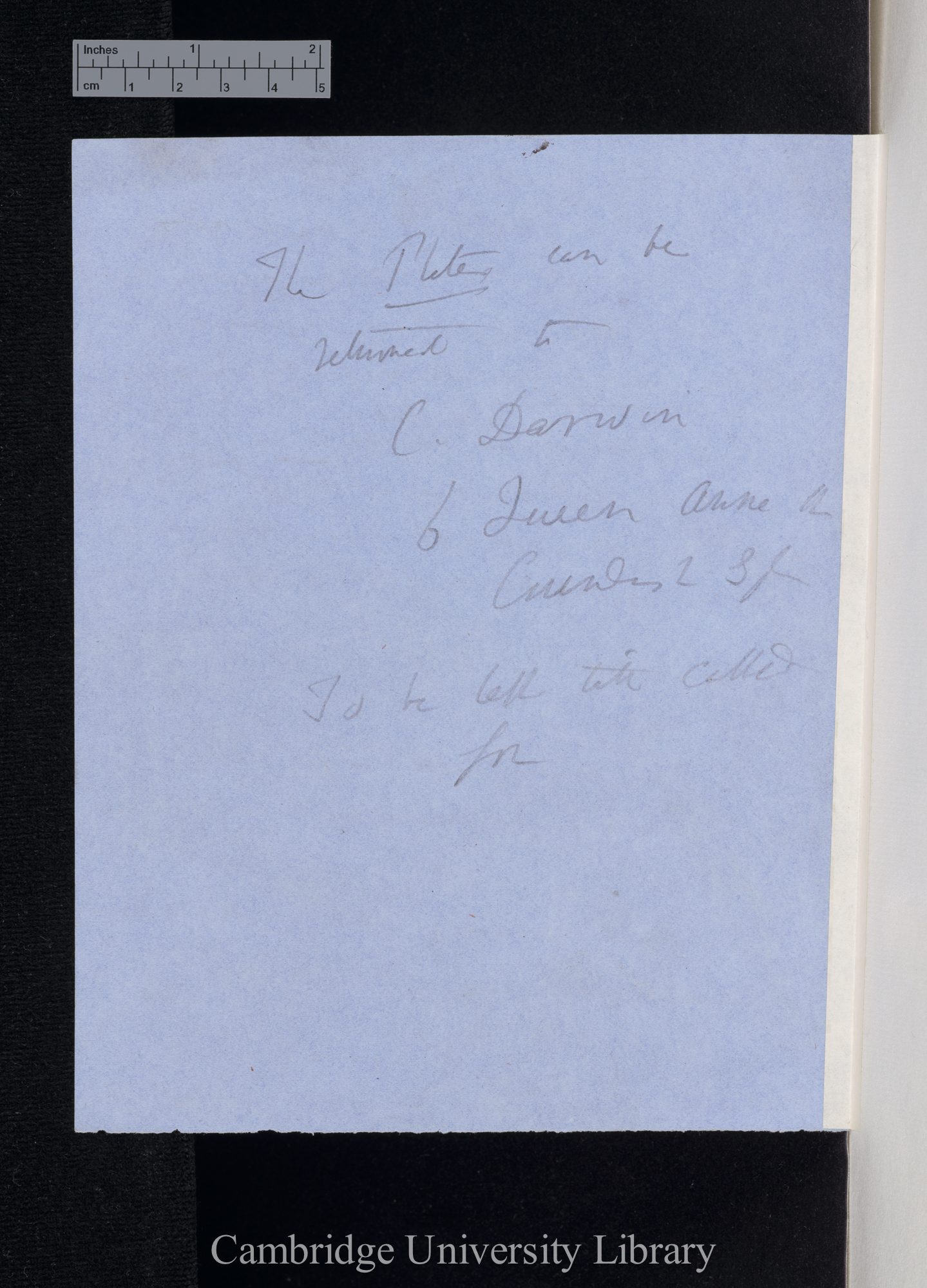 Charles Robert Darwin to [Edgar Albert Smith]