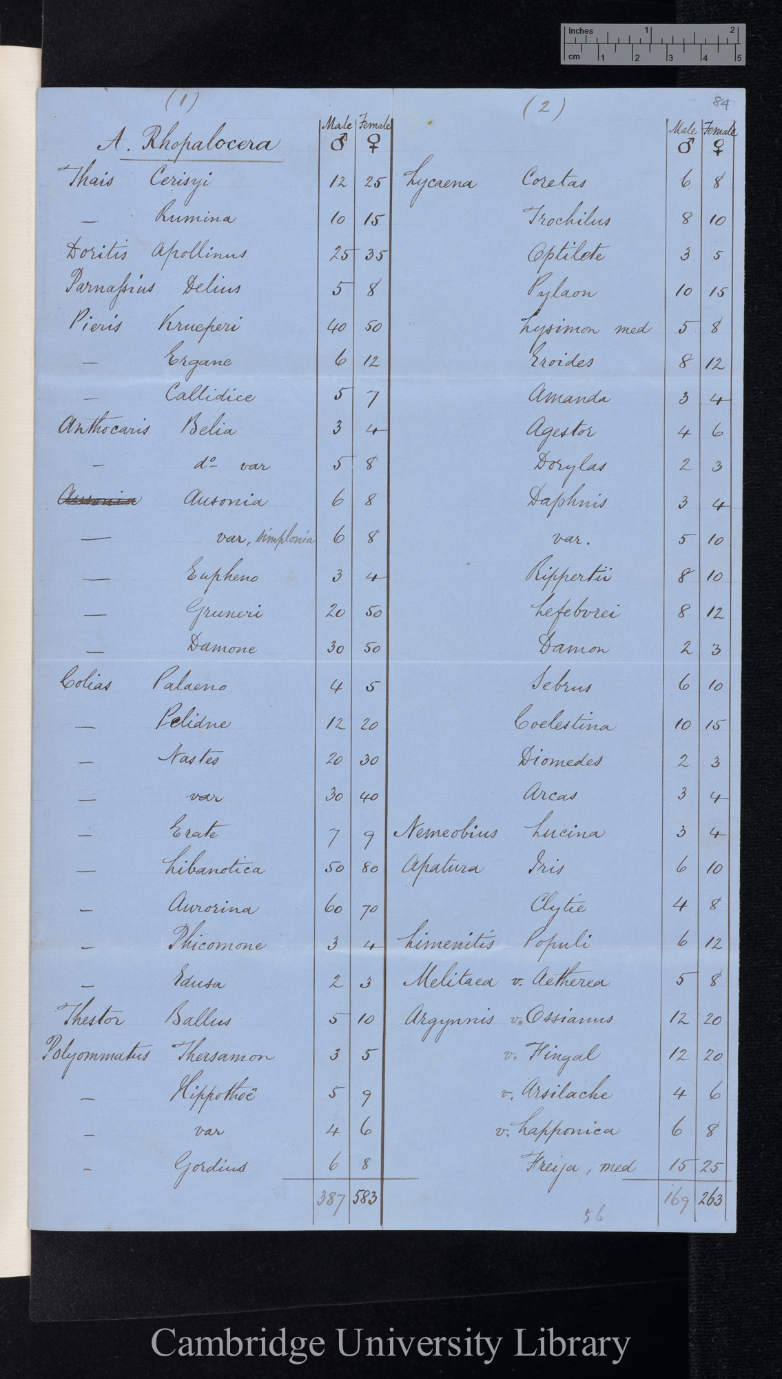 Rhopalocera / Heterocera [numbers of males and females, table]