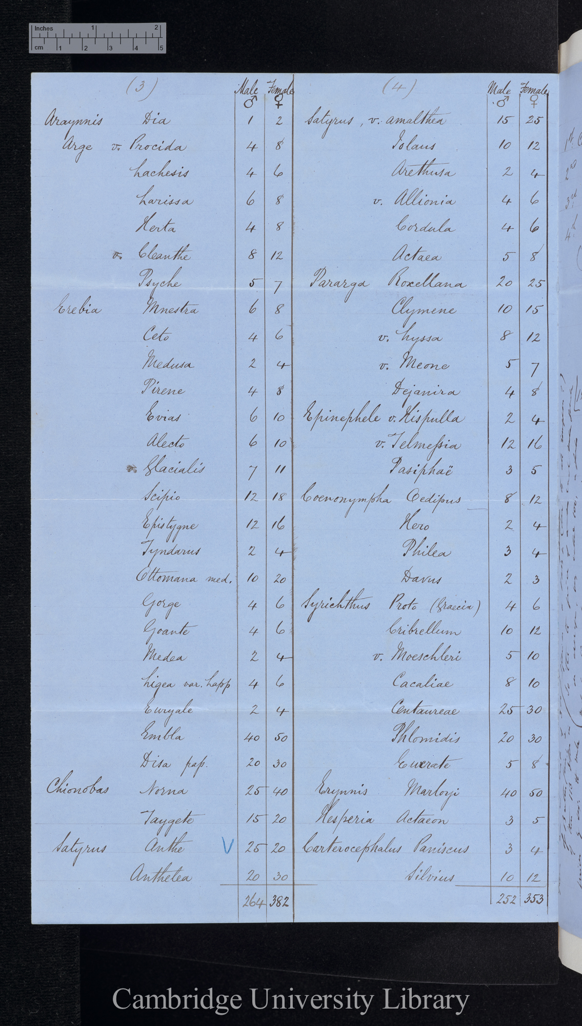 Rhopalocera / Heterocera [numbers of males and females, table]