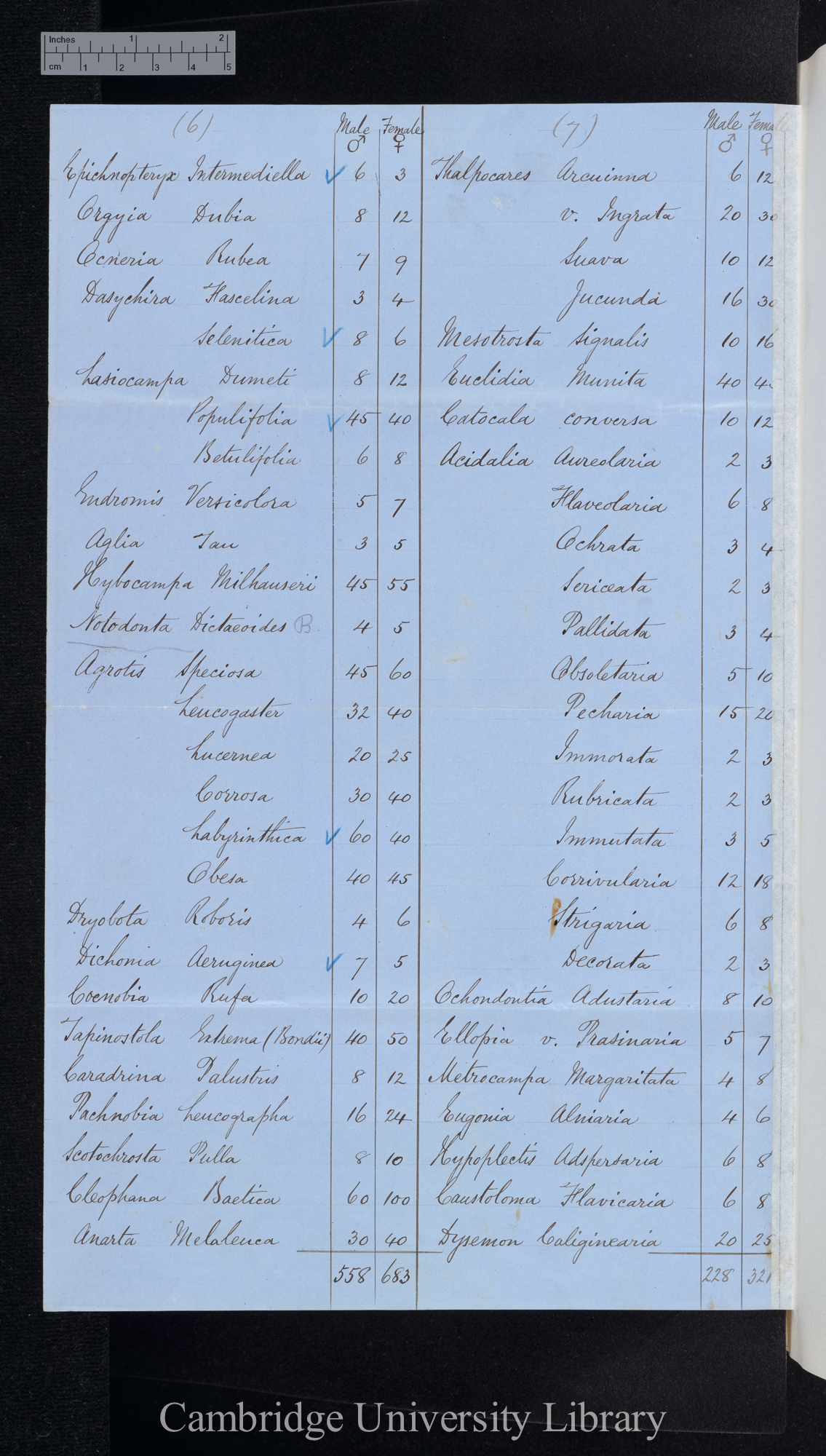 Rhopalocera / Heterocera [numbers of males and females, table]