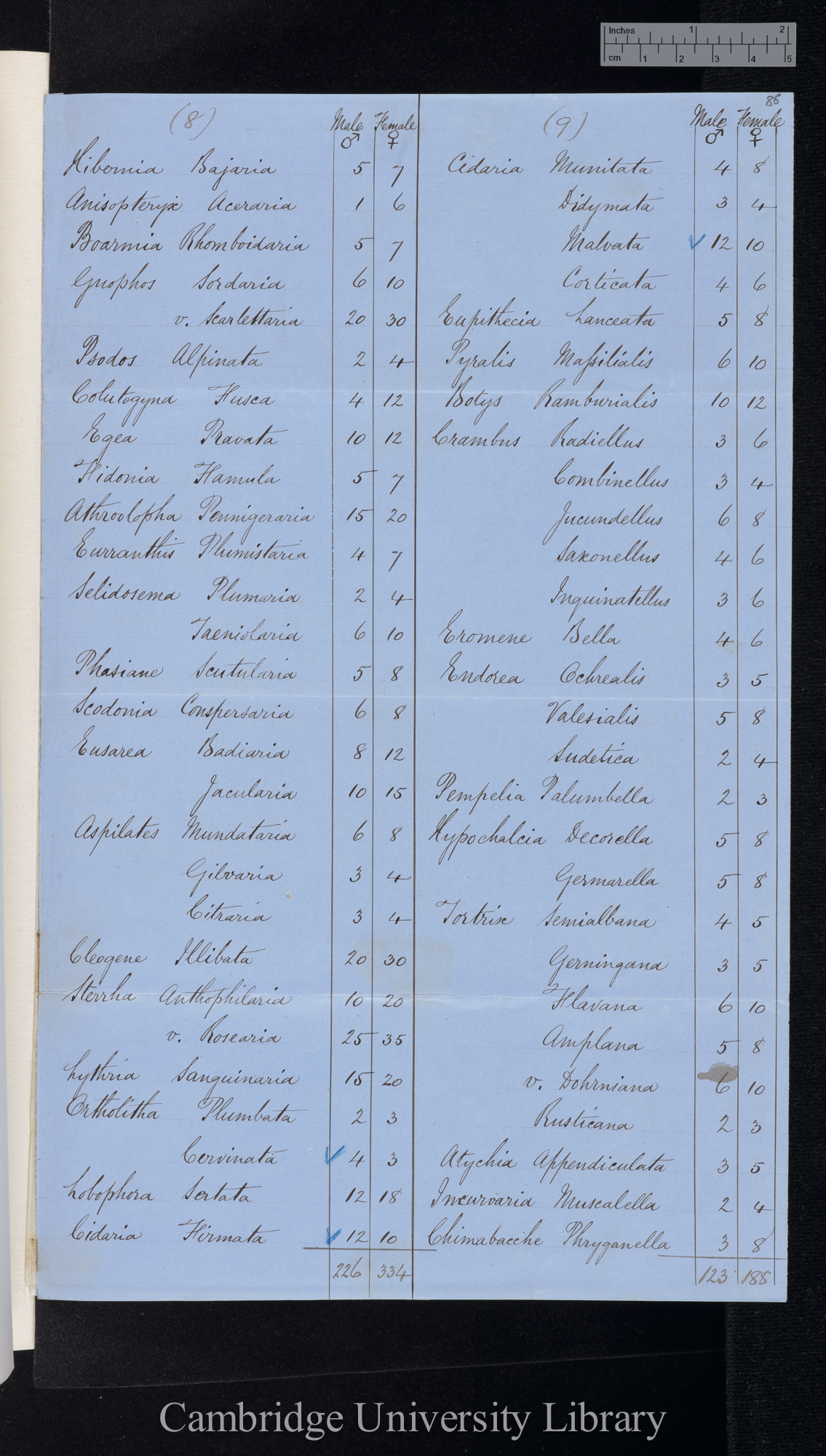 Rhopalocera / Heterocera [numbers of males and females, table]