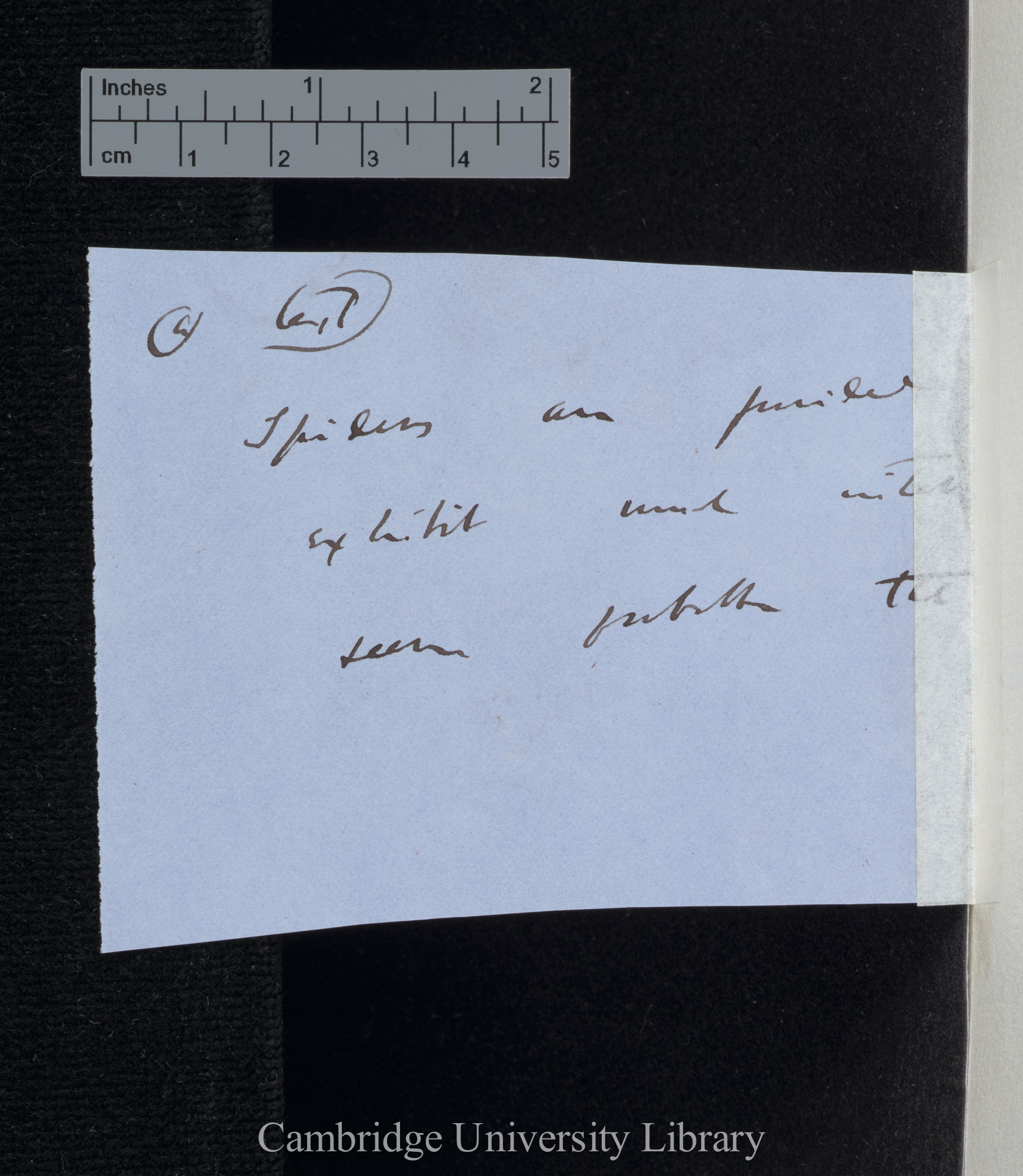 fragment of draft text [of ?]