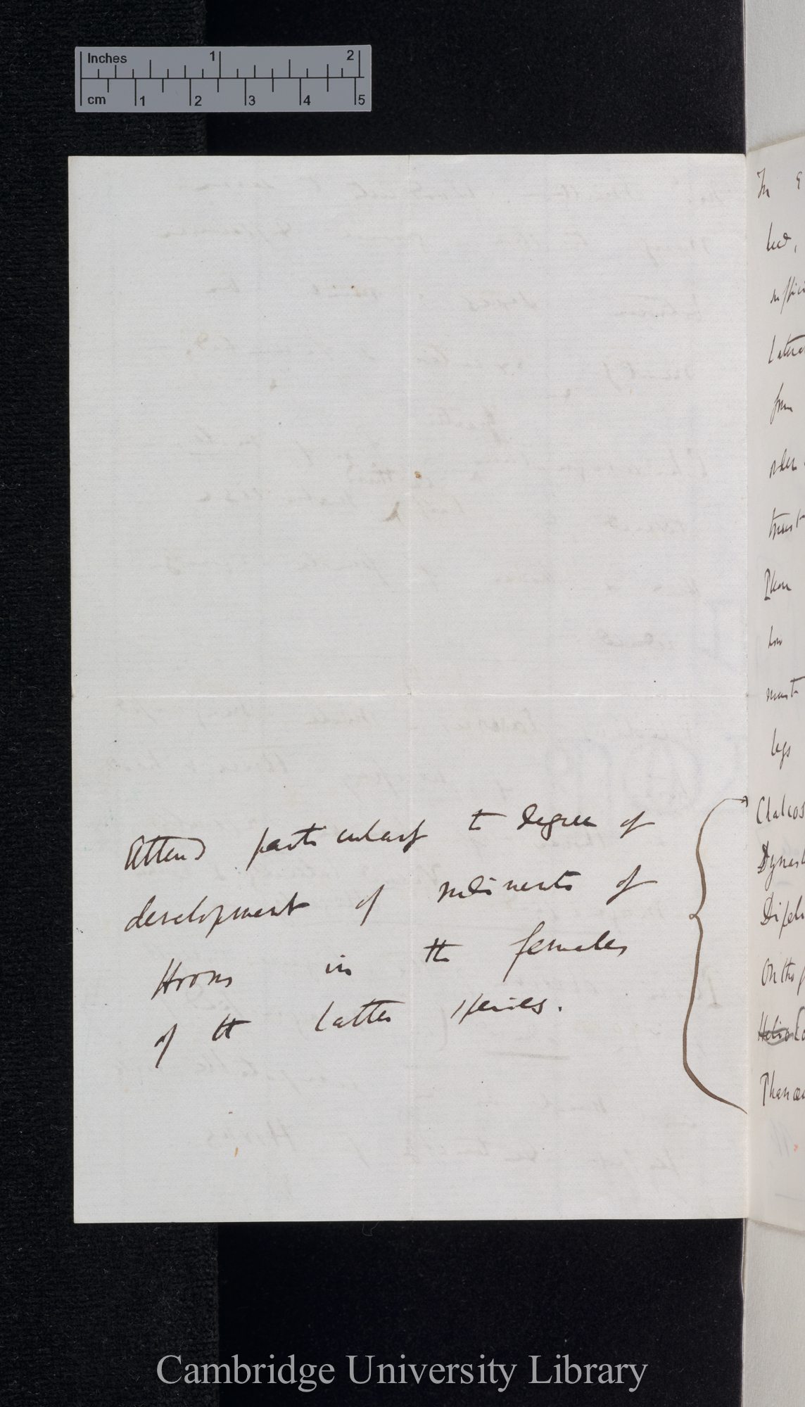 Charles Robert Darwin to [Edgar Albert Smith]