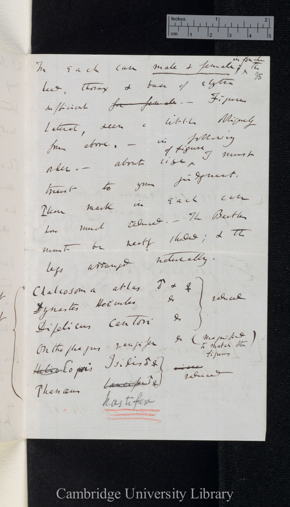 Charles Robert Darwin to [Edgar Albert Smith]