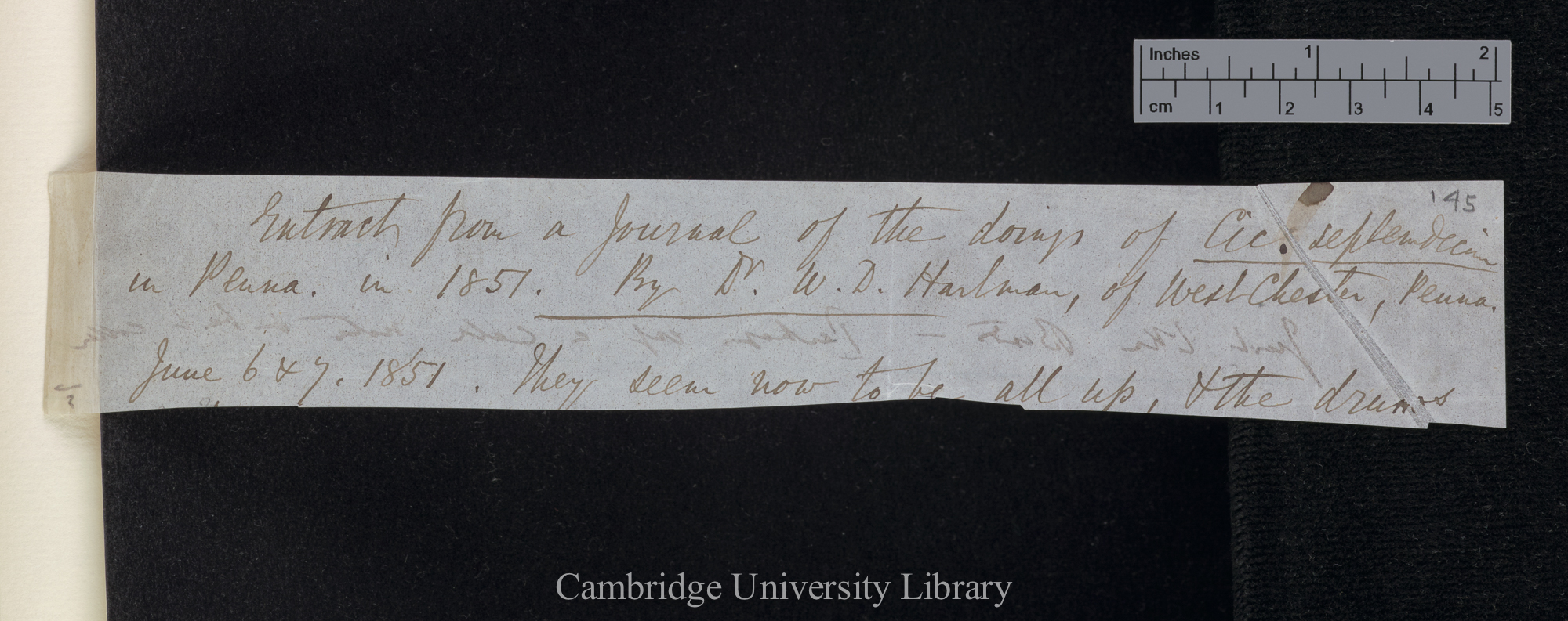 [Benjamin Dann Walsh] to Charles Robert Darwin