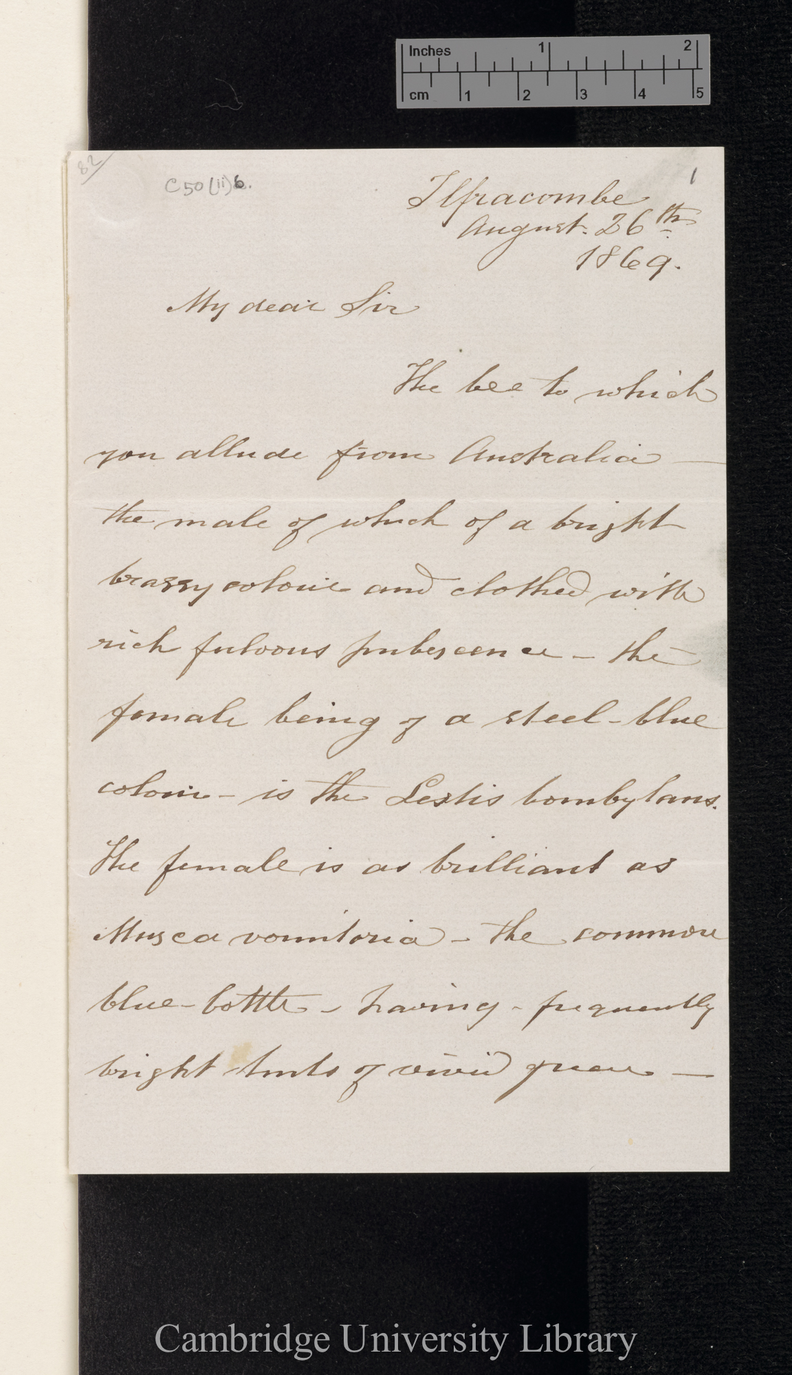 Frederick Smith to Charles Robert Darwin