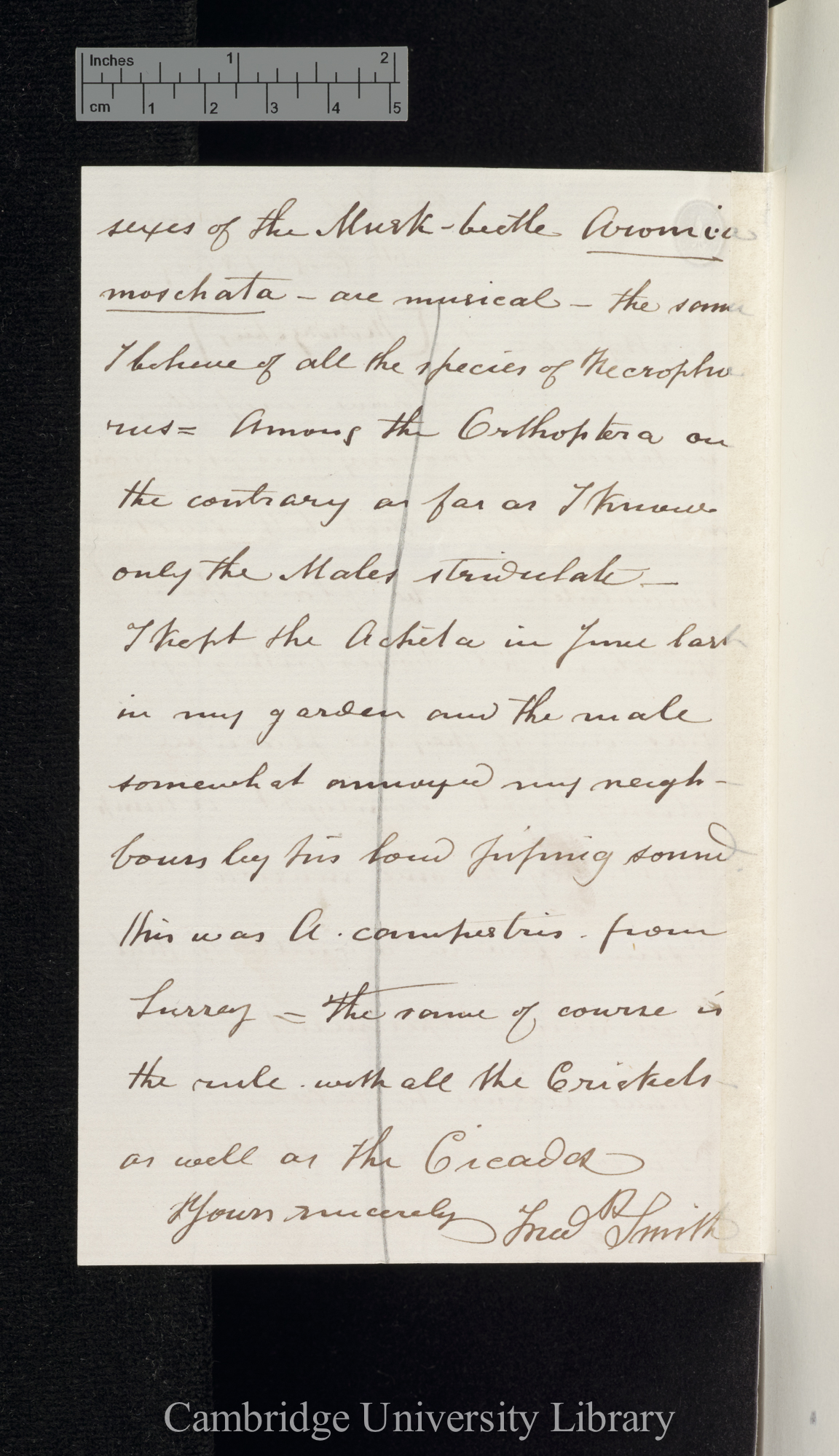 Frederick Smith to Charles Robert Darwin