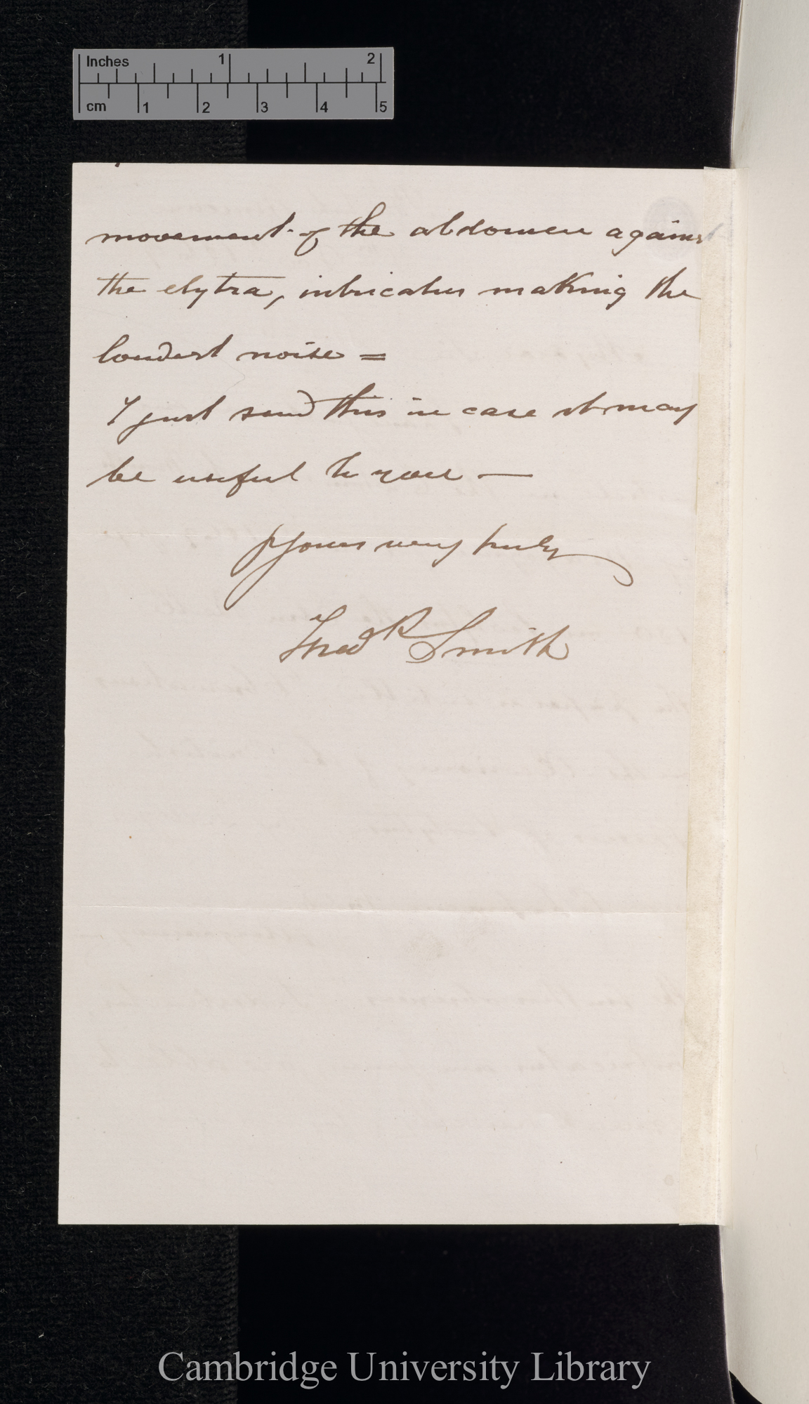 Frederick Smith to Charles Robert Darwin