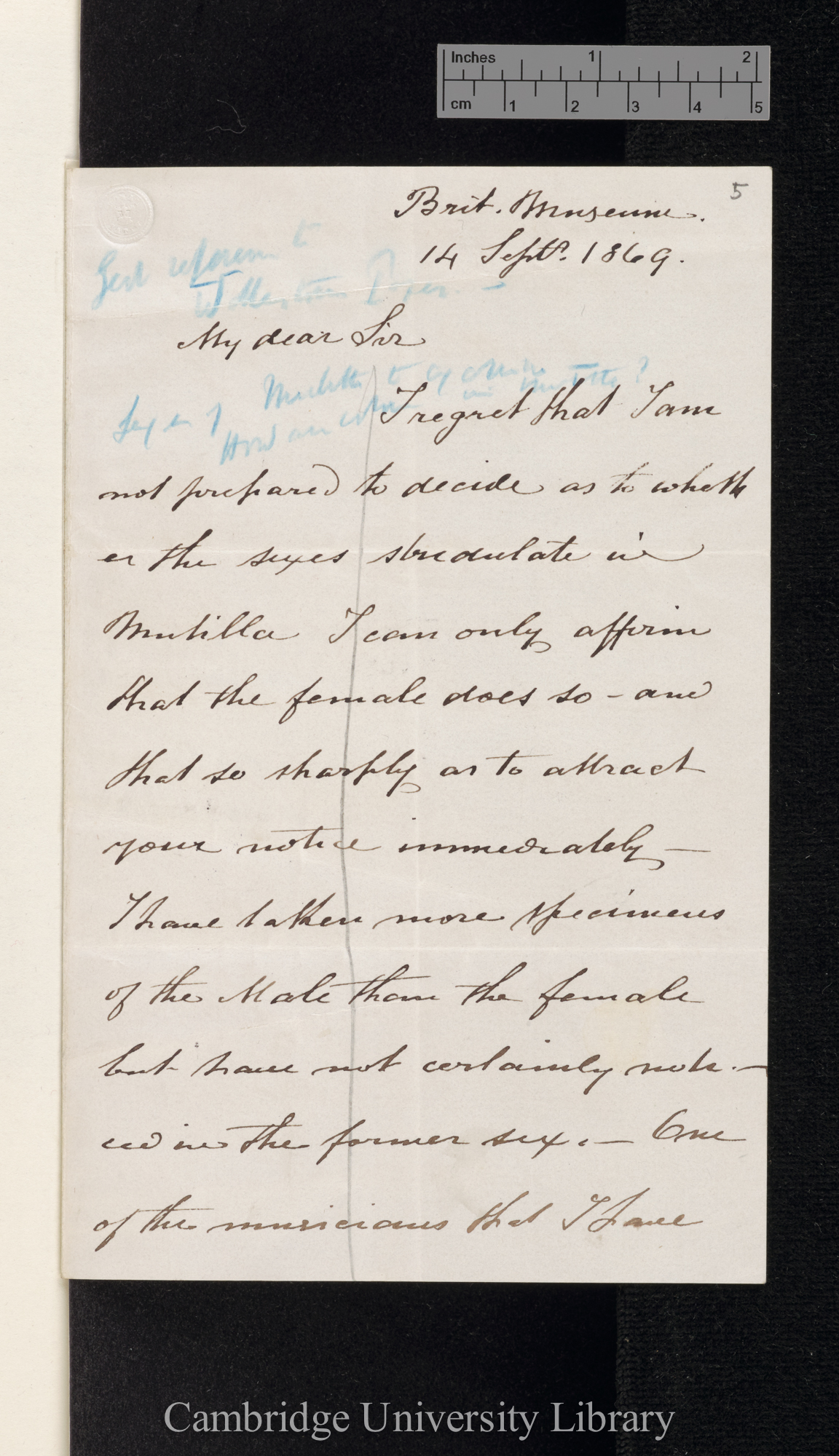 Frederick Smith to Charles Robert Darwin