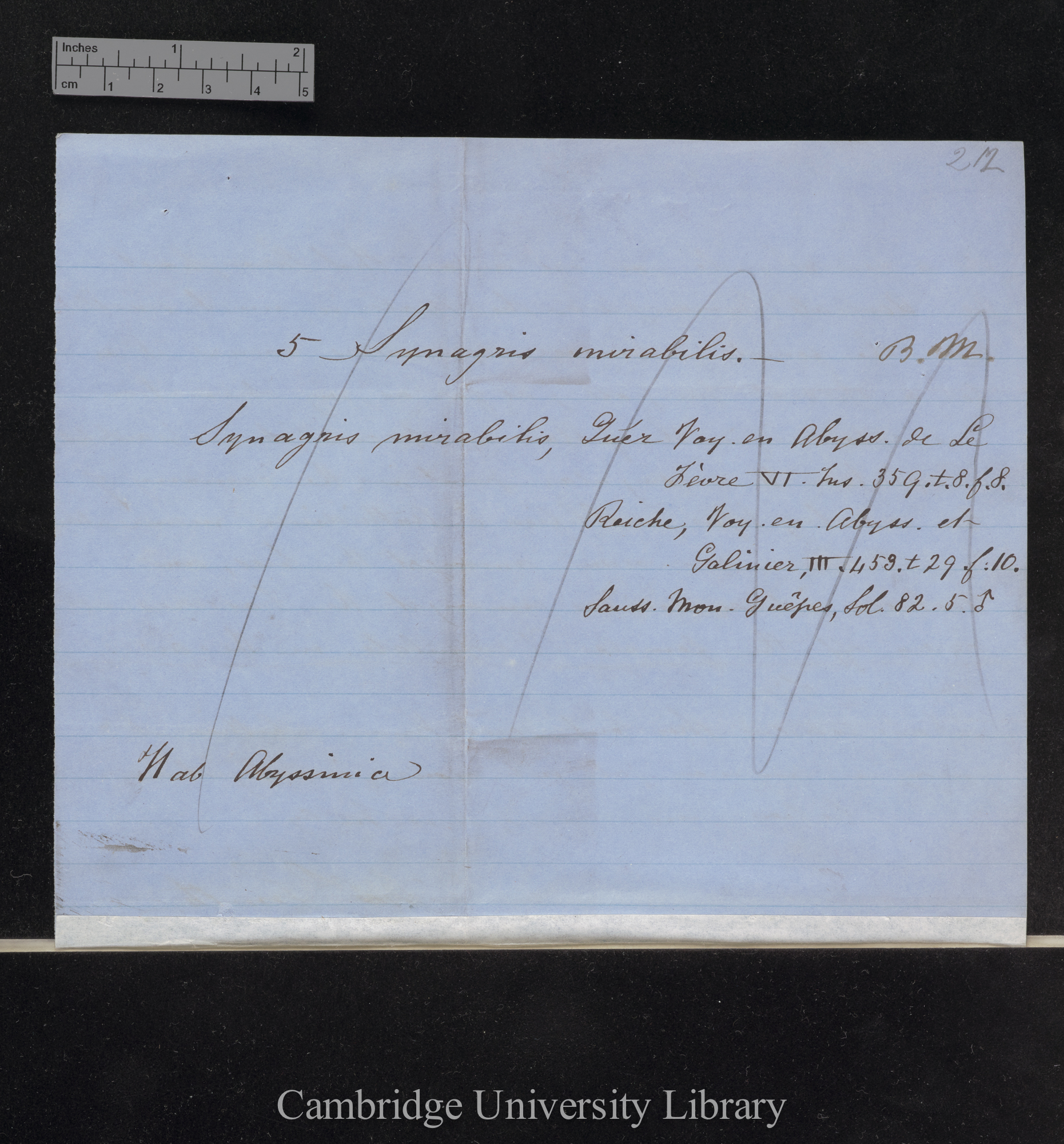 Frederick Smith to Charles Robert Darwin