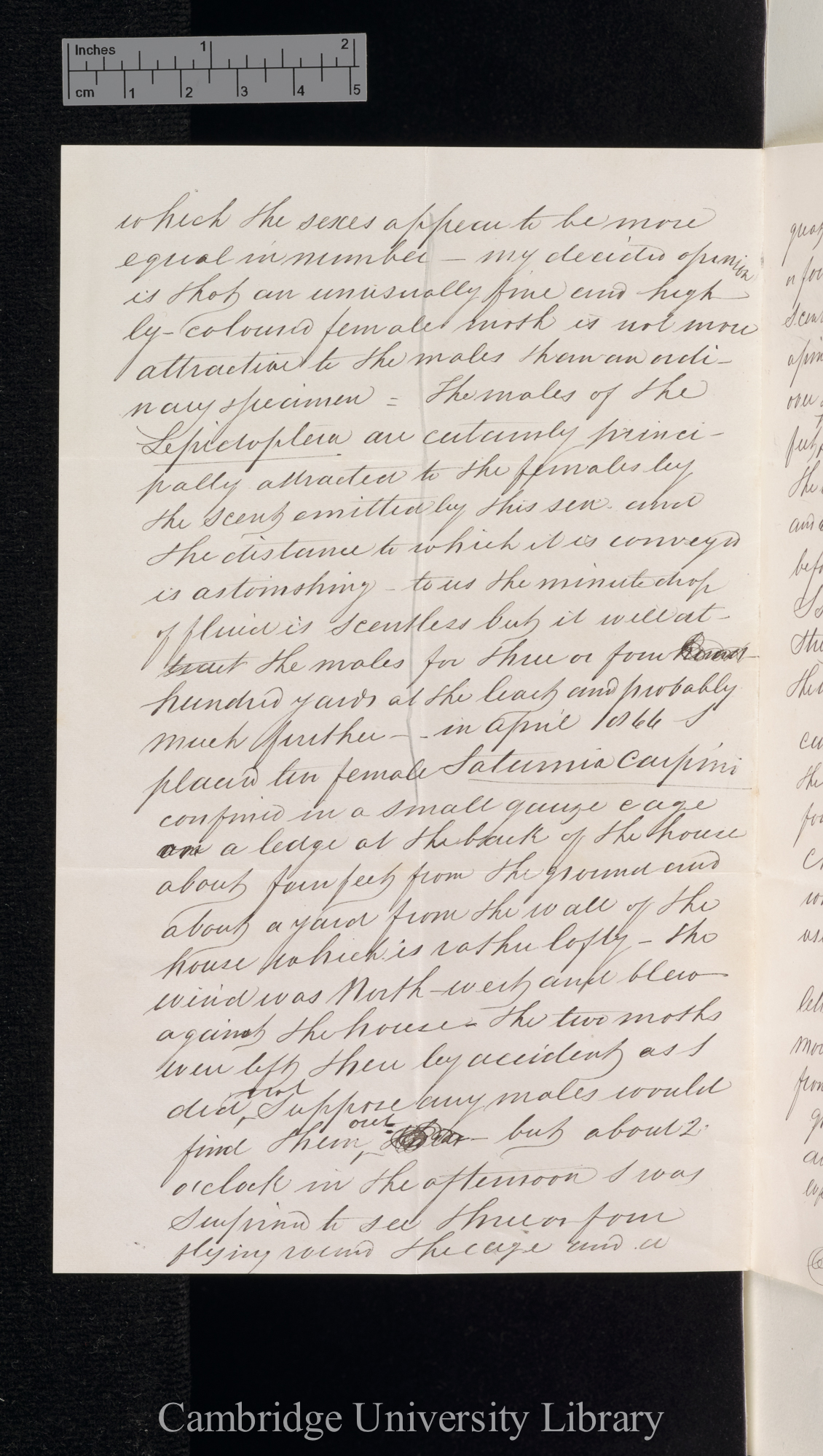 Henry Doubleday to Charles Robert Darwin