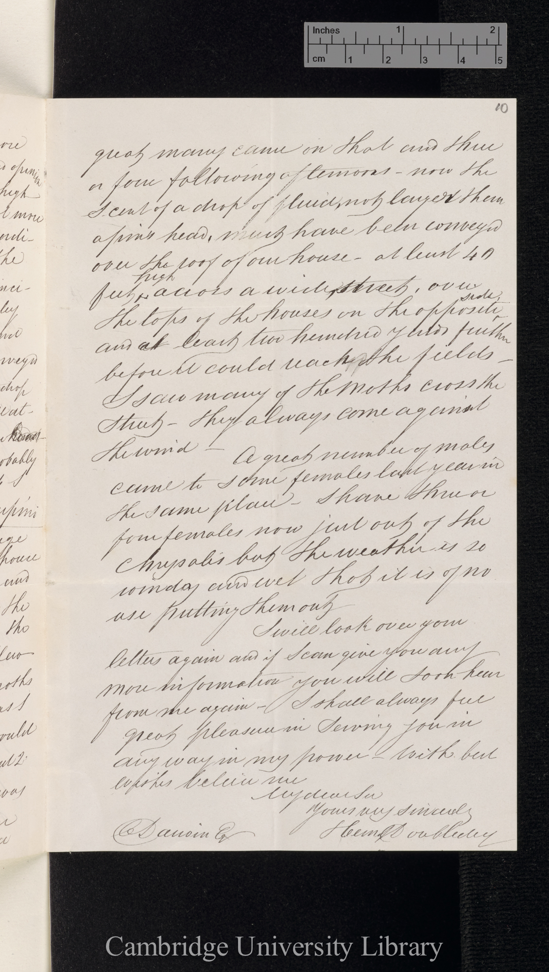 Henry Doubleday to Charles Robert Darwin