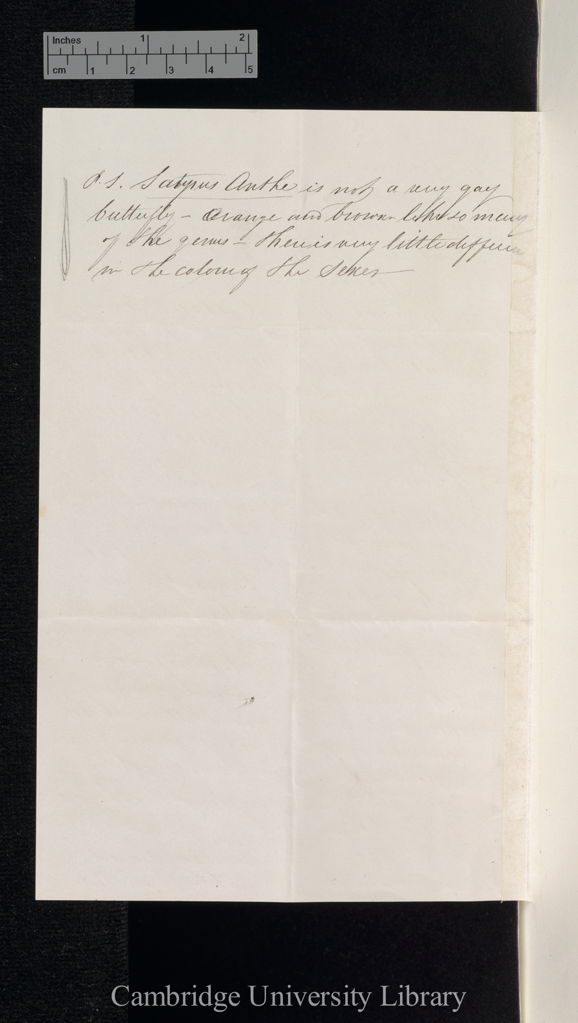 Henry Doubleday to Charles Robert Darwin