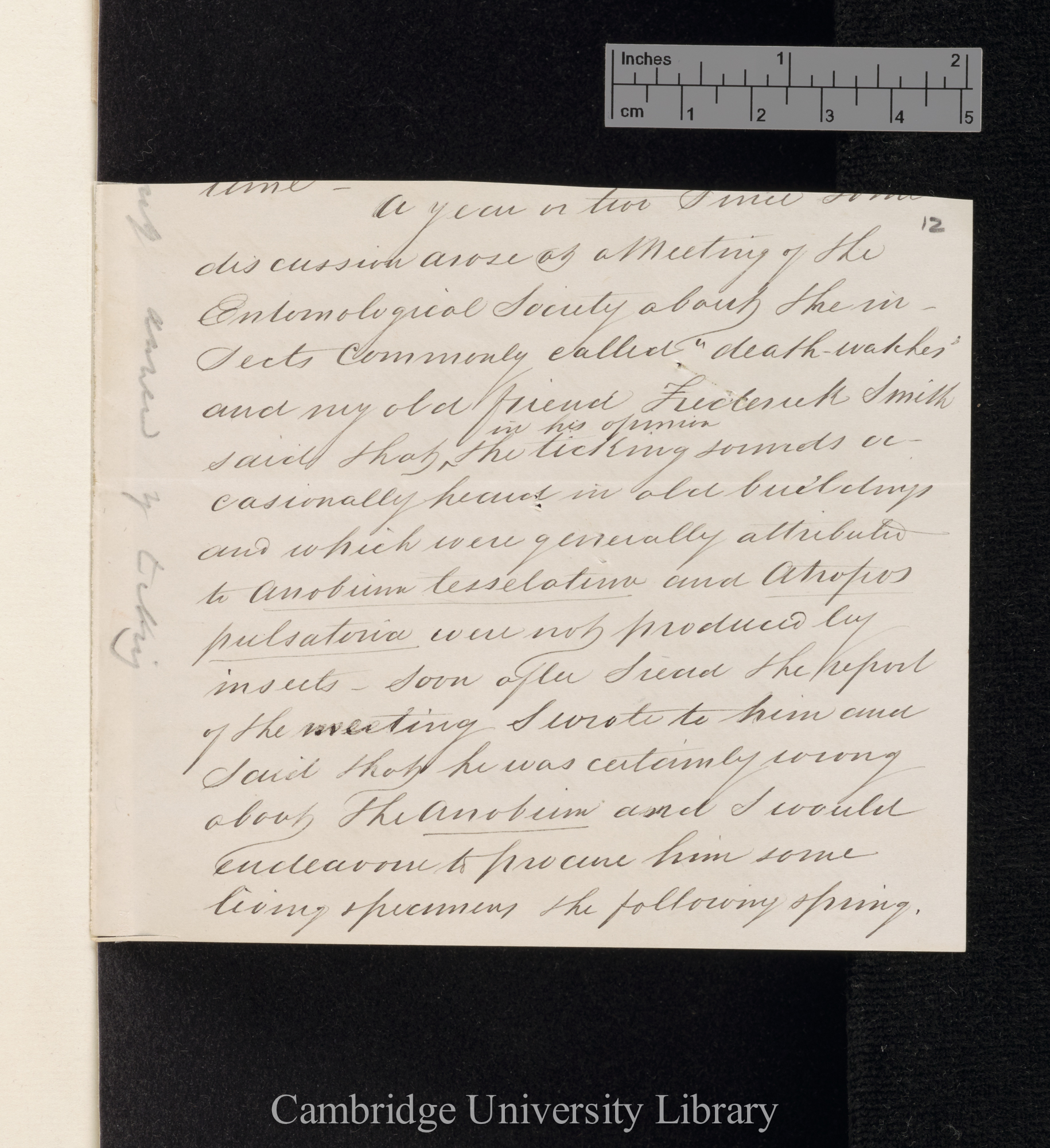 Henry Doubleday to Charles Robert Darwin