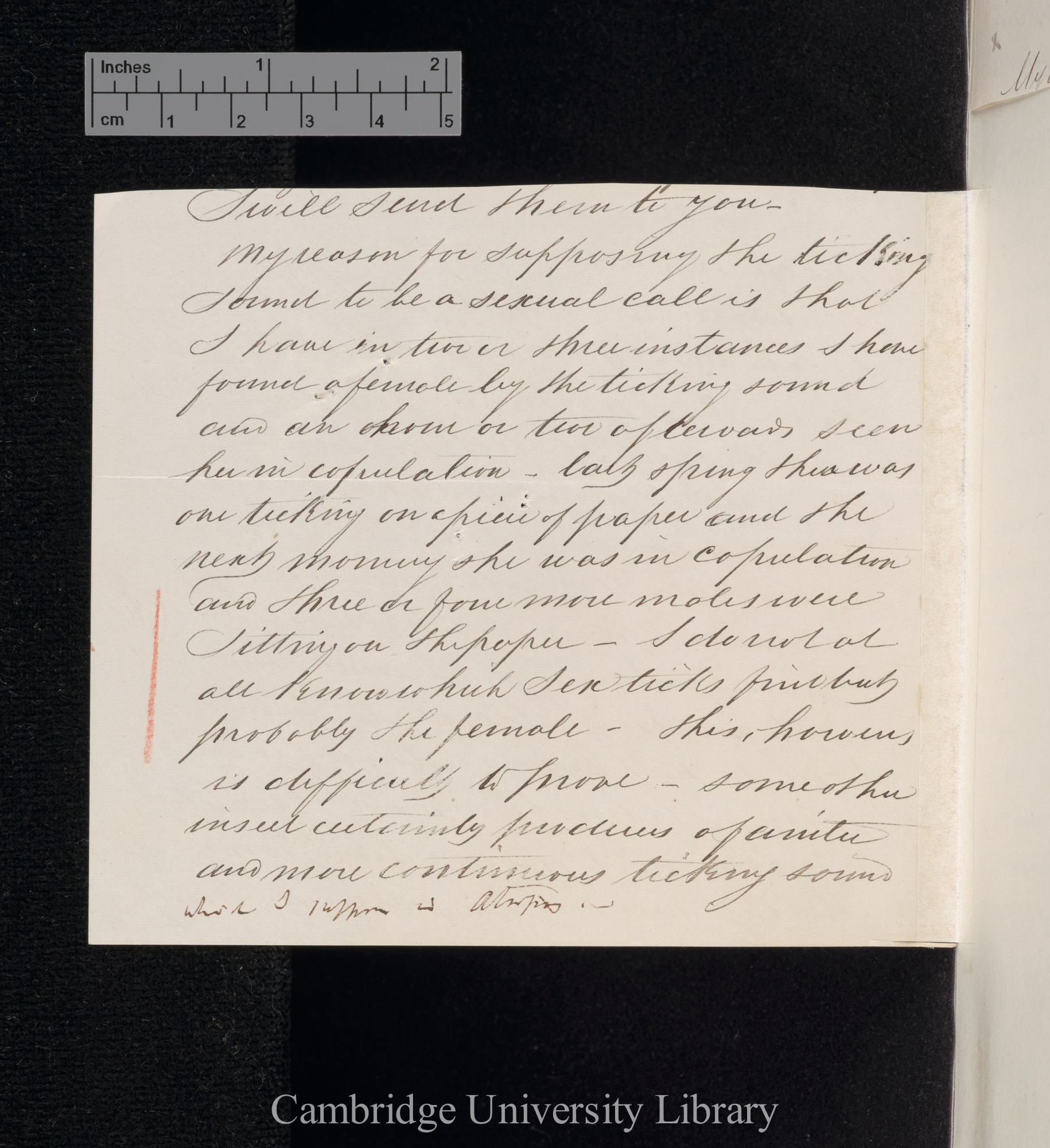 Henry Doubleday to Charles Robert Darwin