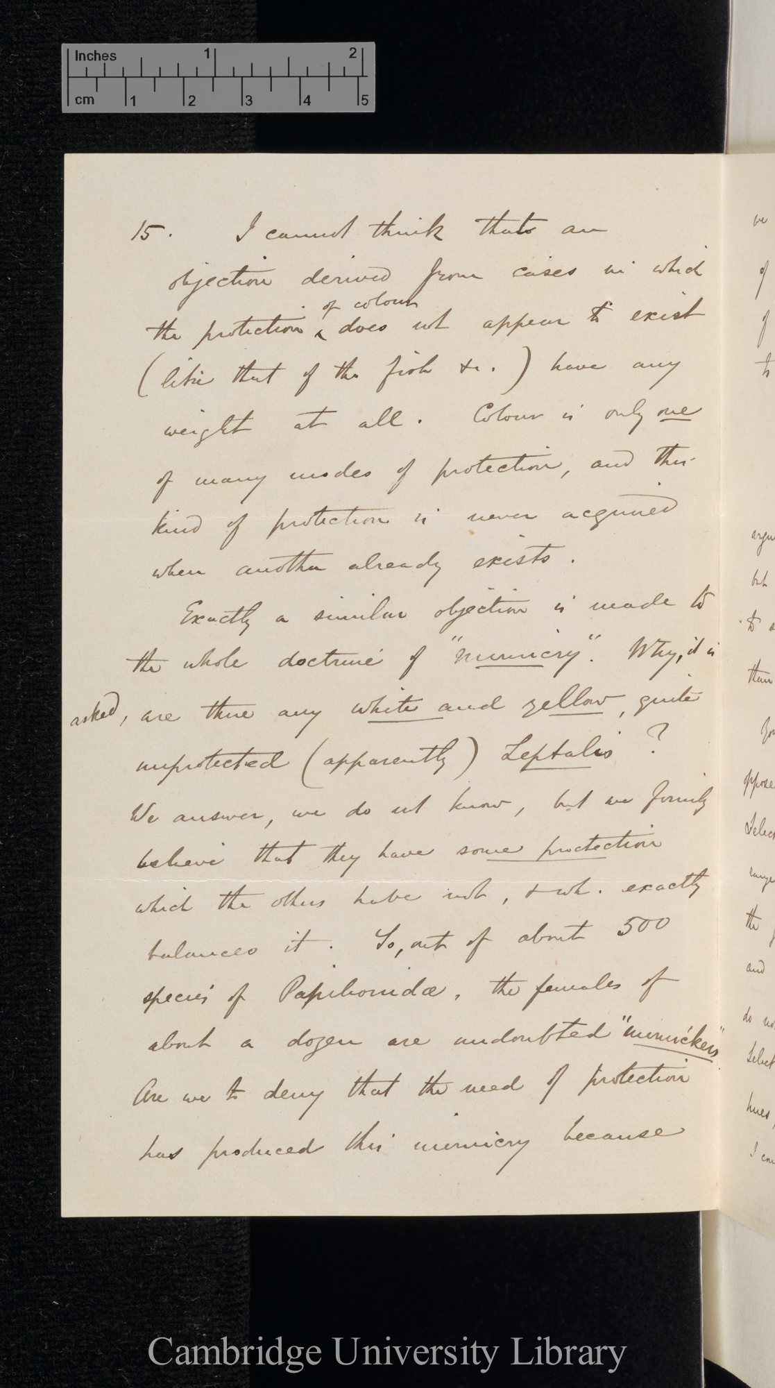 Alfred Russel Wallace to Charles Robert Darwin