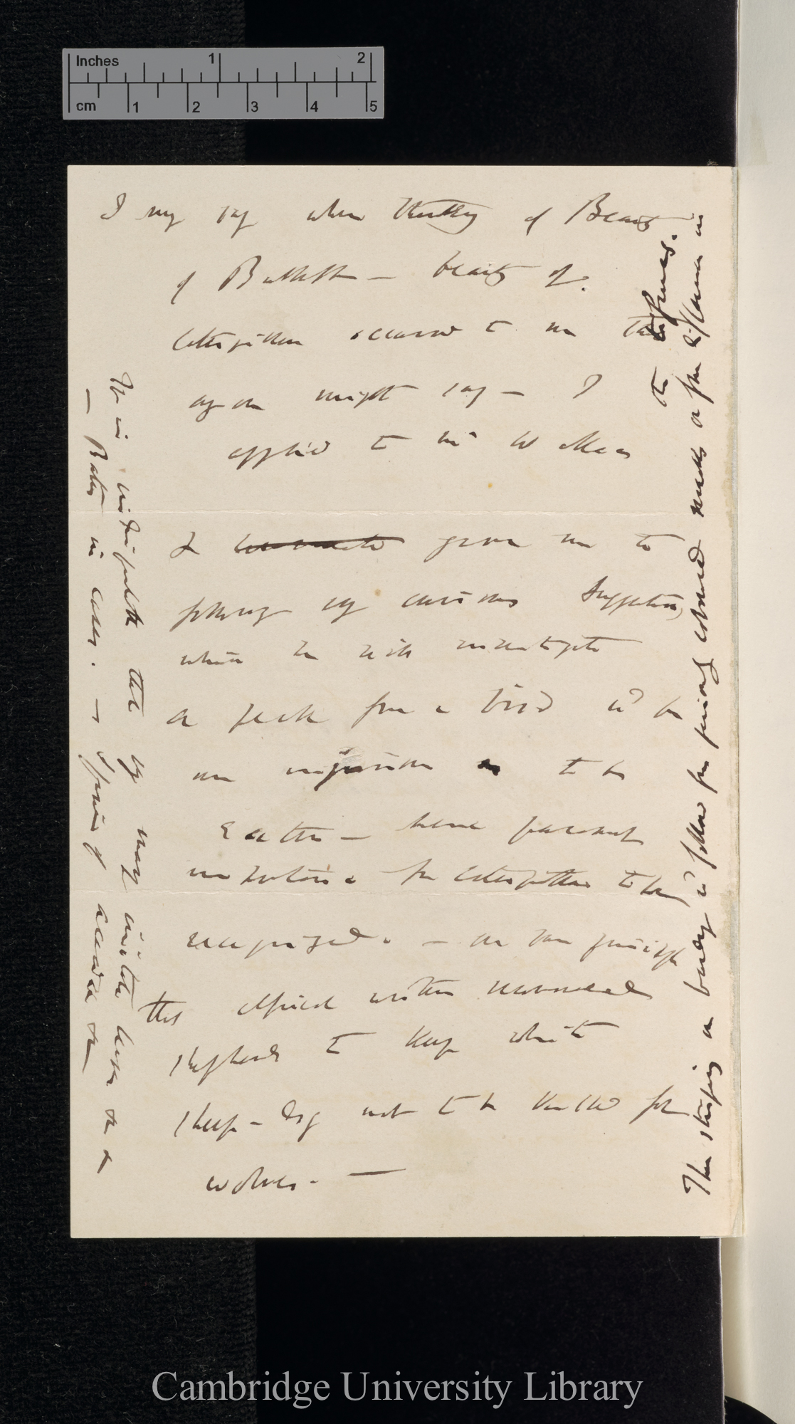 Alfred Russel Wallace to Charles Robert Darwin [Note by CD]