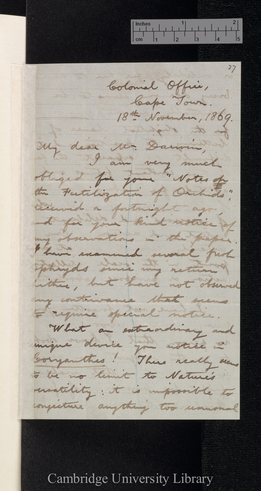 Roland Trimen to Charles Robert Darwin