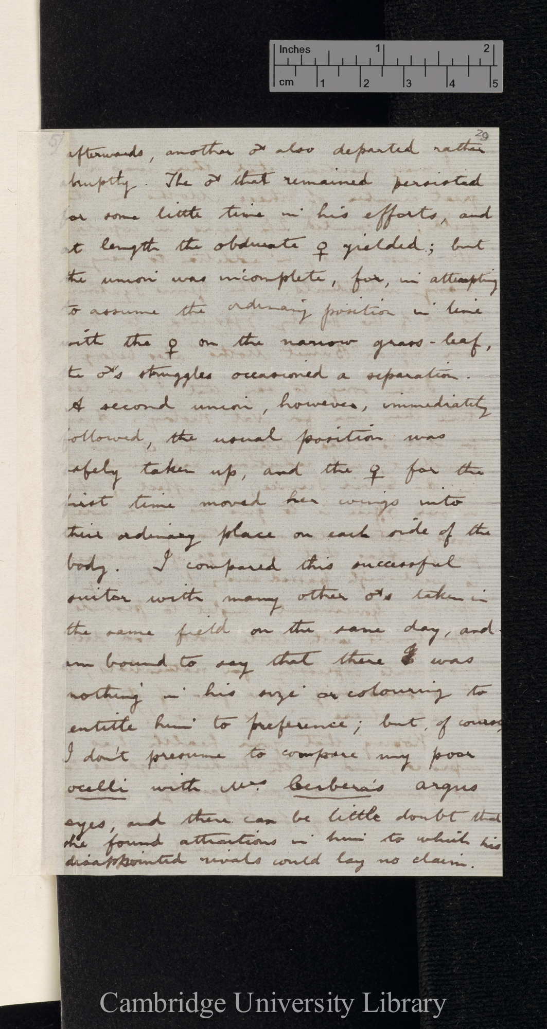 Roland Trimen to Charles Robert Darwin