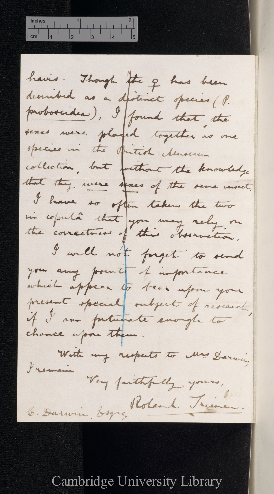 Roland Trimen to Charles Robert Darwin