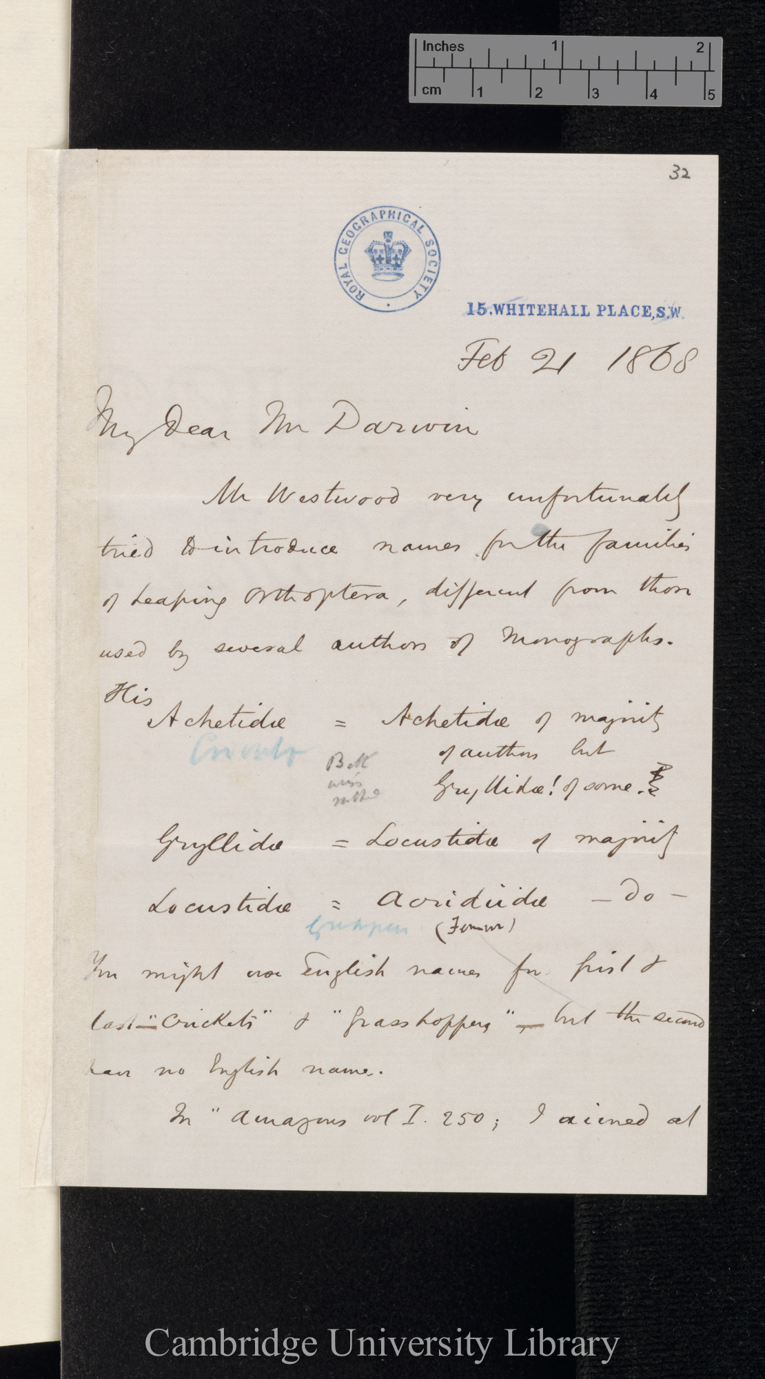 Henry Walter Bates to Charles Robert Darwin