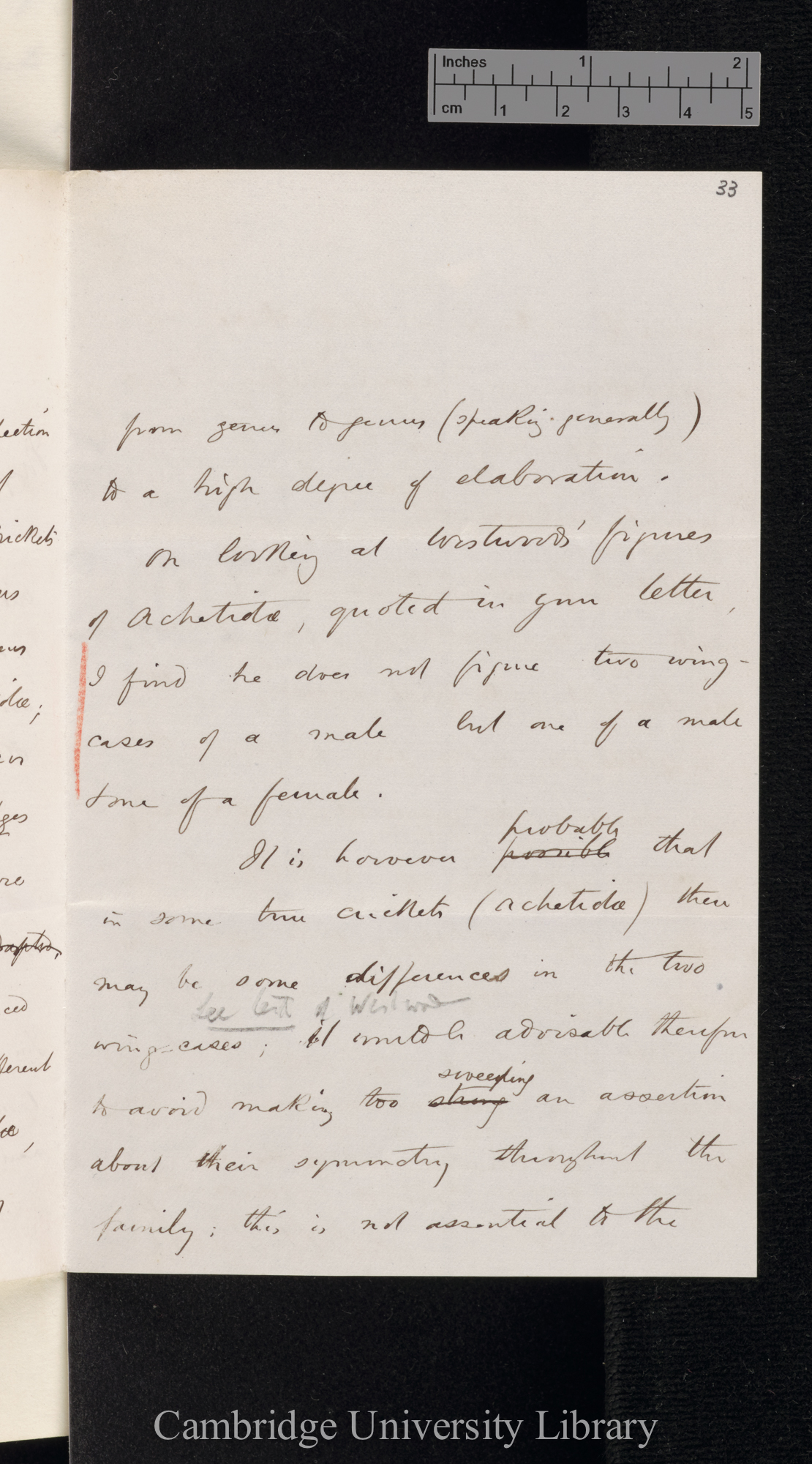 Henry Walter Bates to Charles Robert Darwin