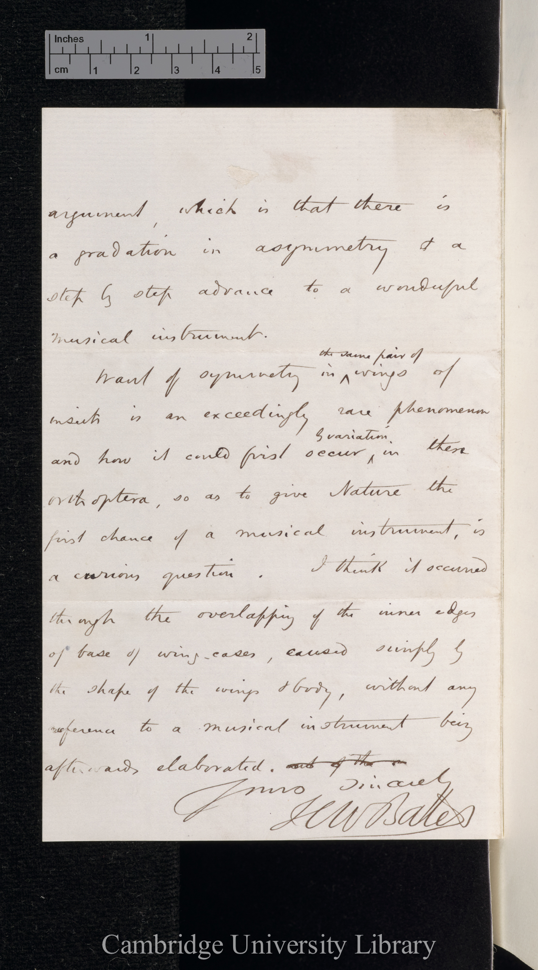 Henry Walter Bates to Charles Robert Darwin