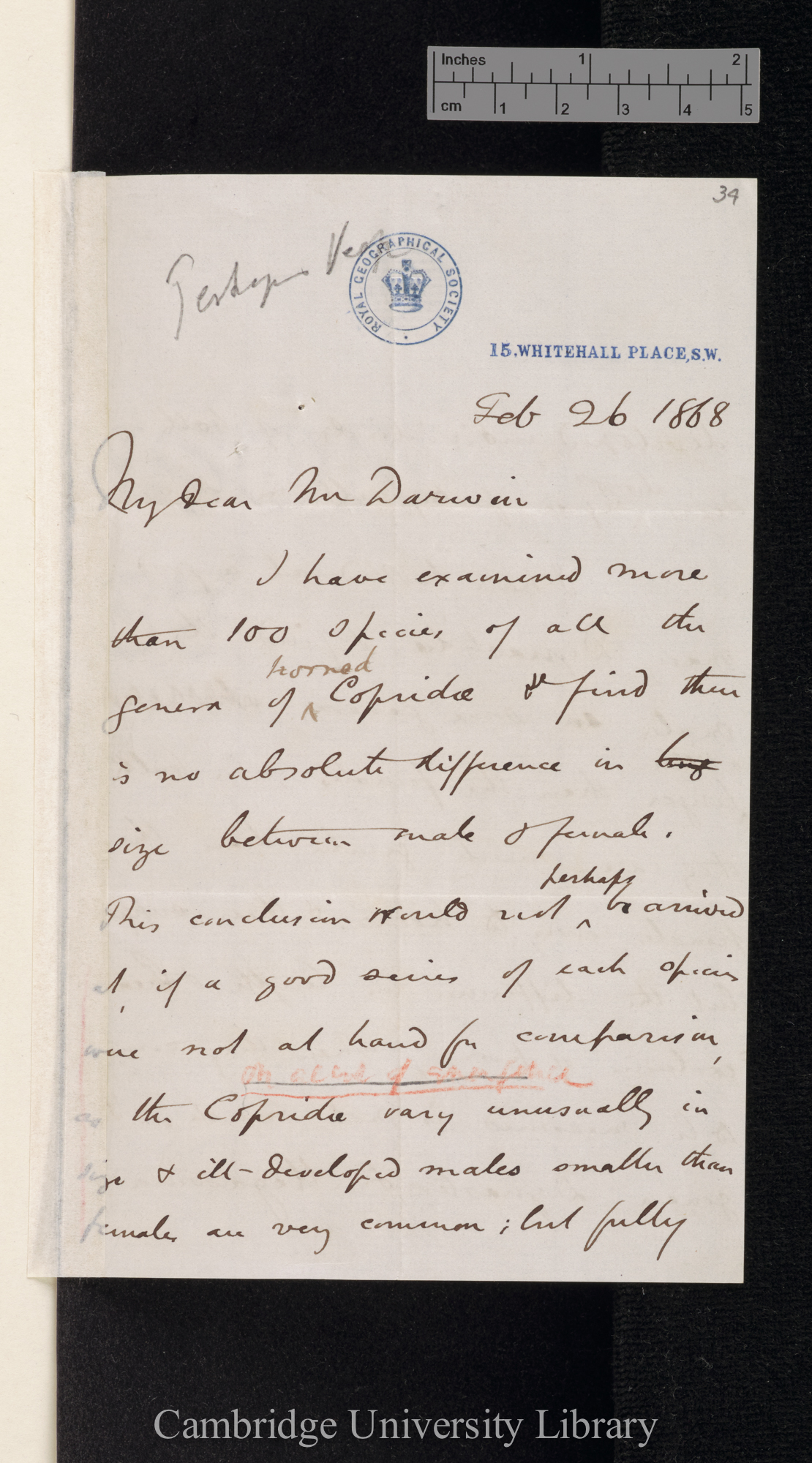 Henry Walter Bates to Charles Robert Darwin