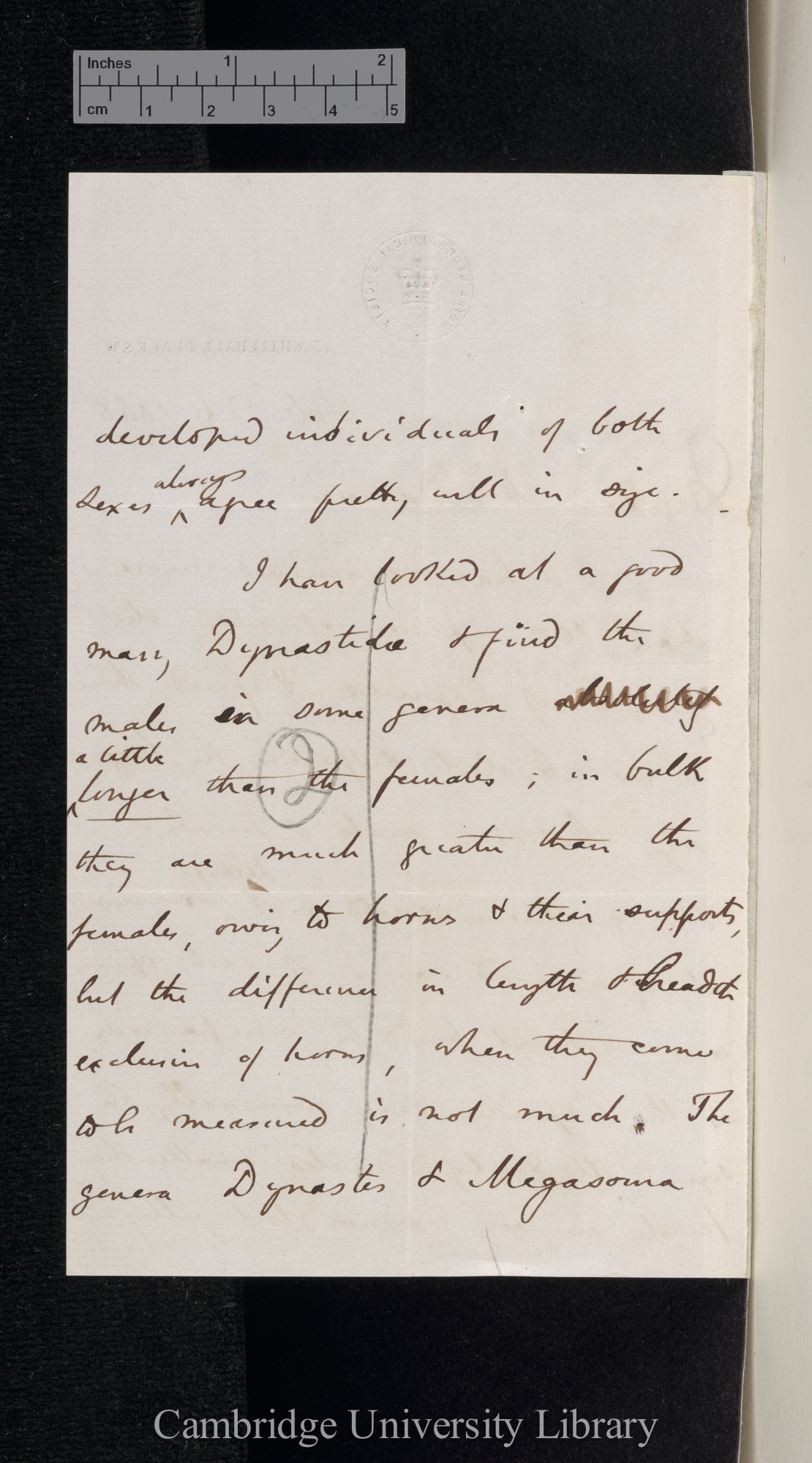 Henry Walter Bates to Charles Robert Darwin