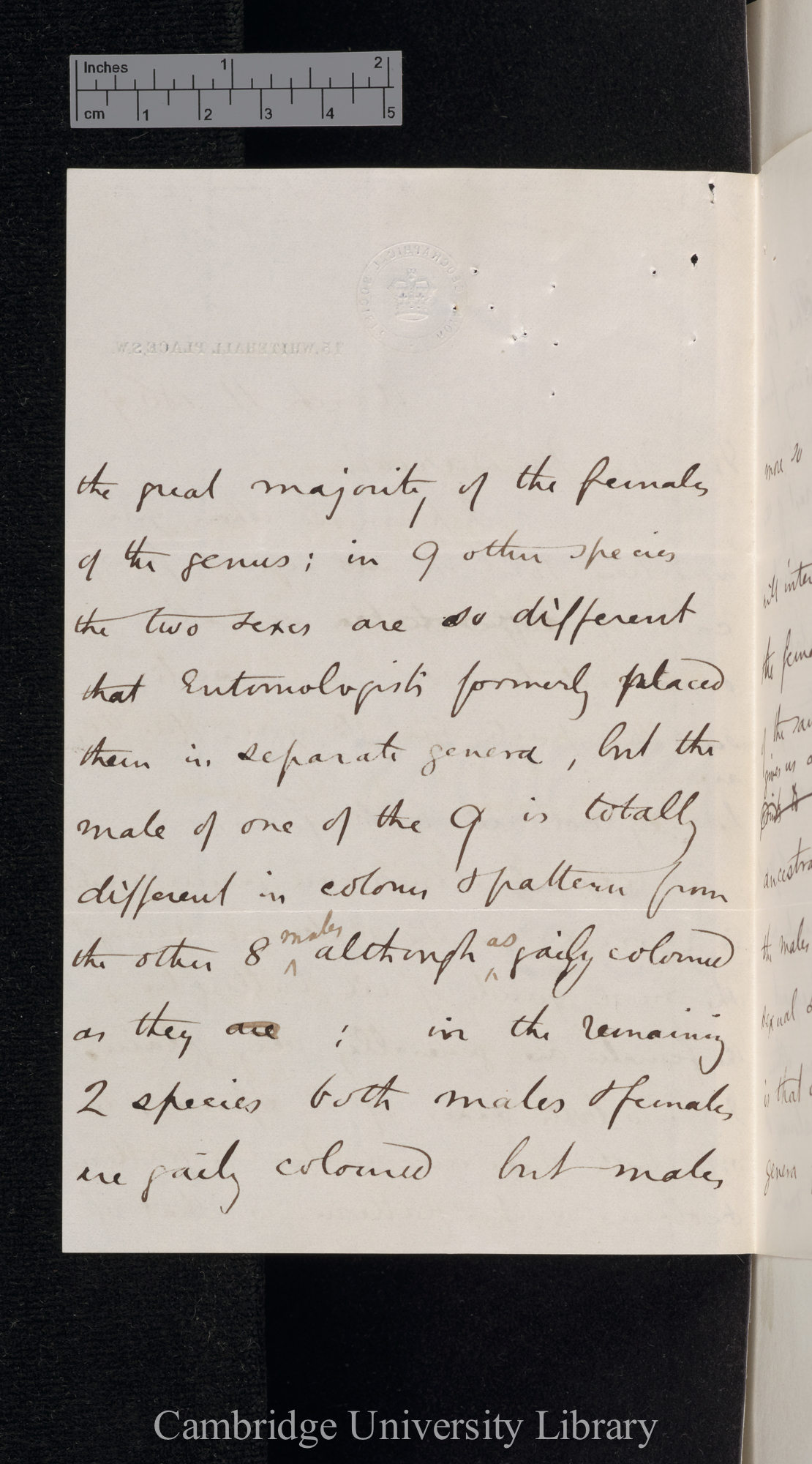 Henry Walter Bates to Charles Robert Darwin