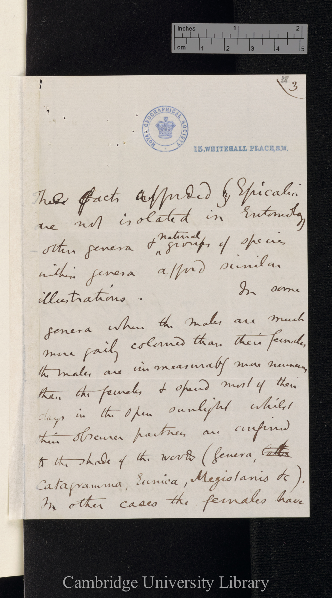 Henry Walter Bates to Charles Robert Darwin