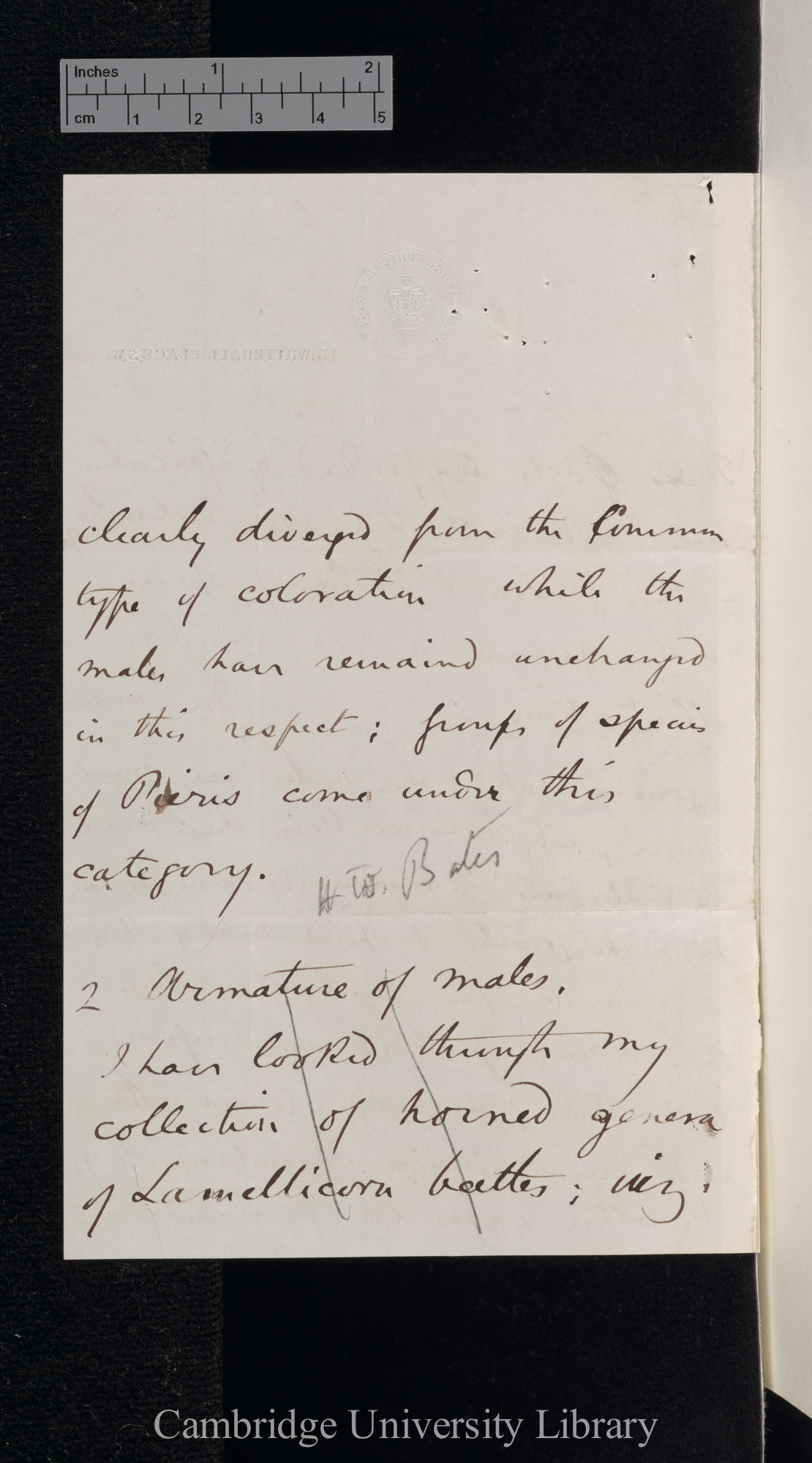 Henry Walter Bates to Charles Robert Darwin