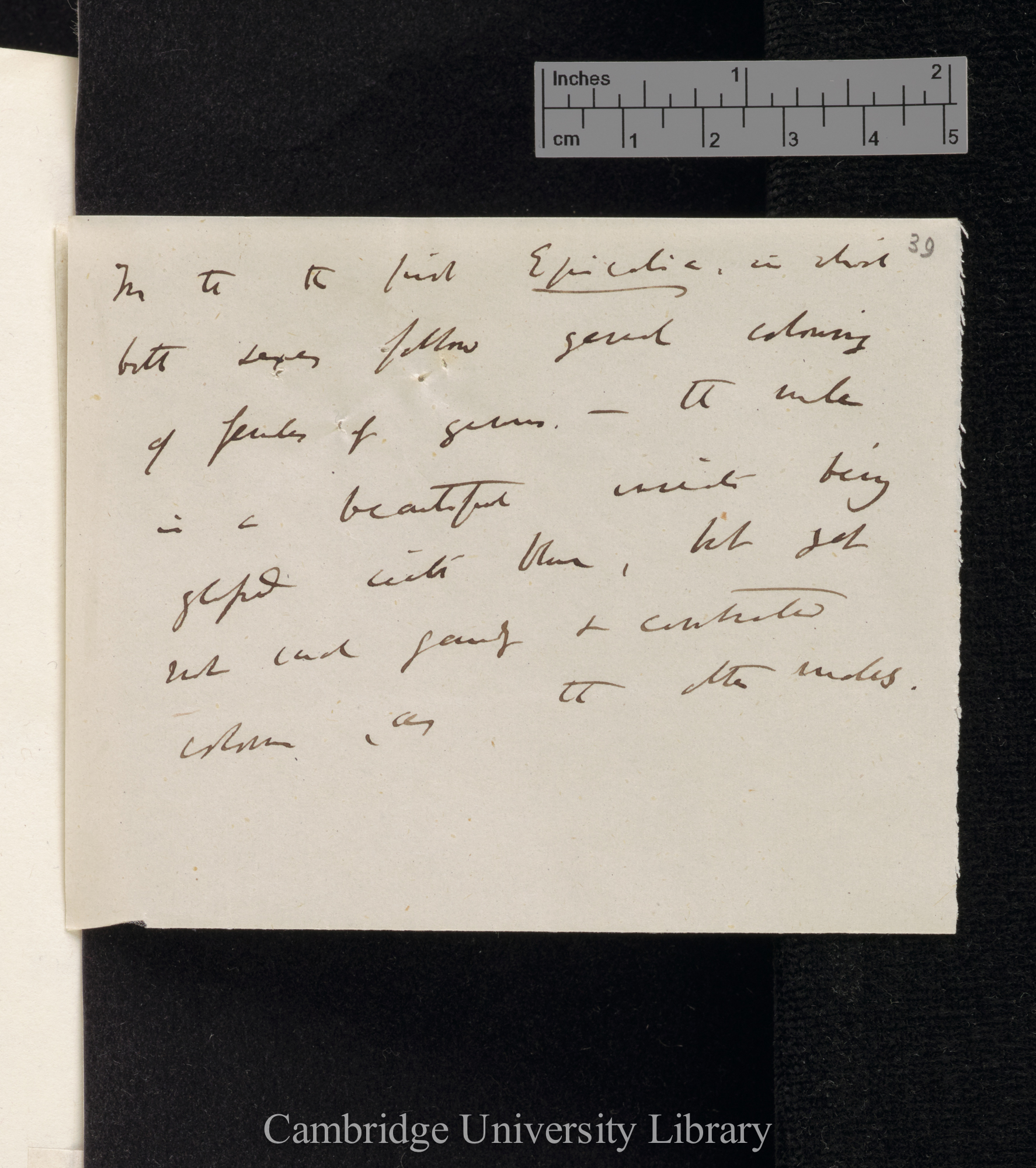 Henry Walter Bates to Charles Robert Darwin [Note by CD]