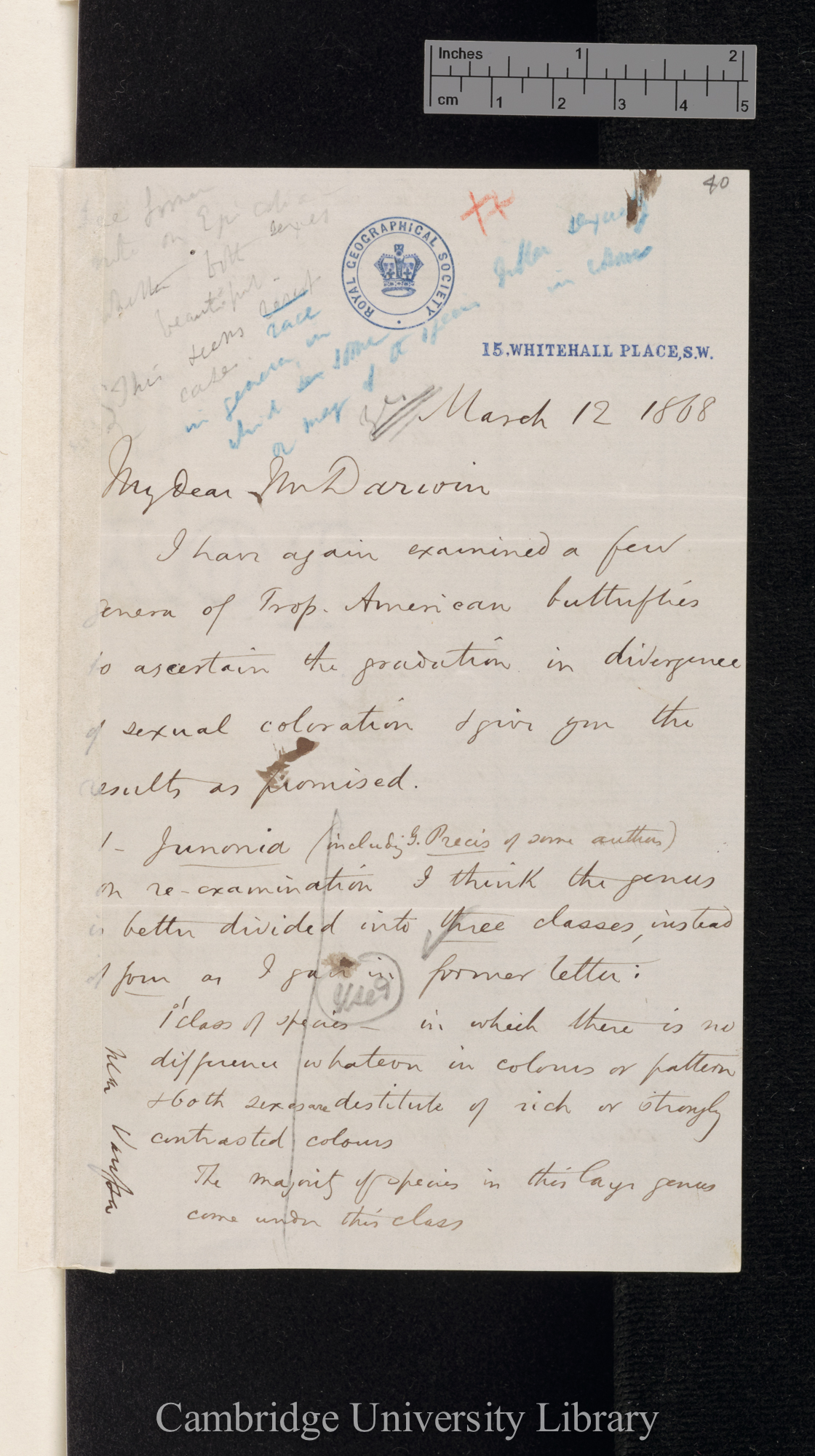 Henry Walter Bates to Charles Robert Darwin