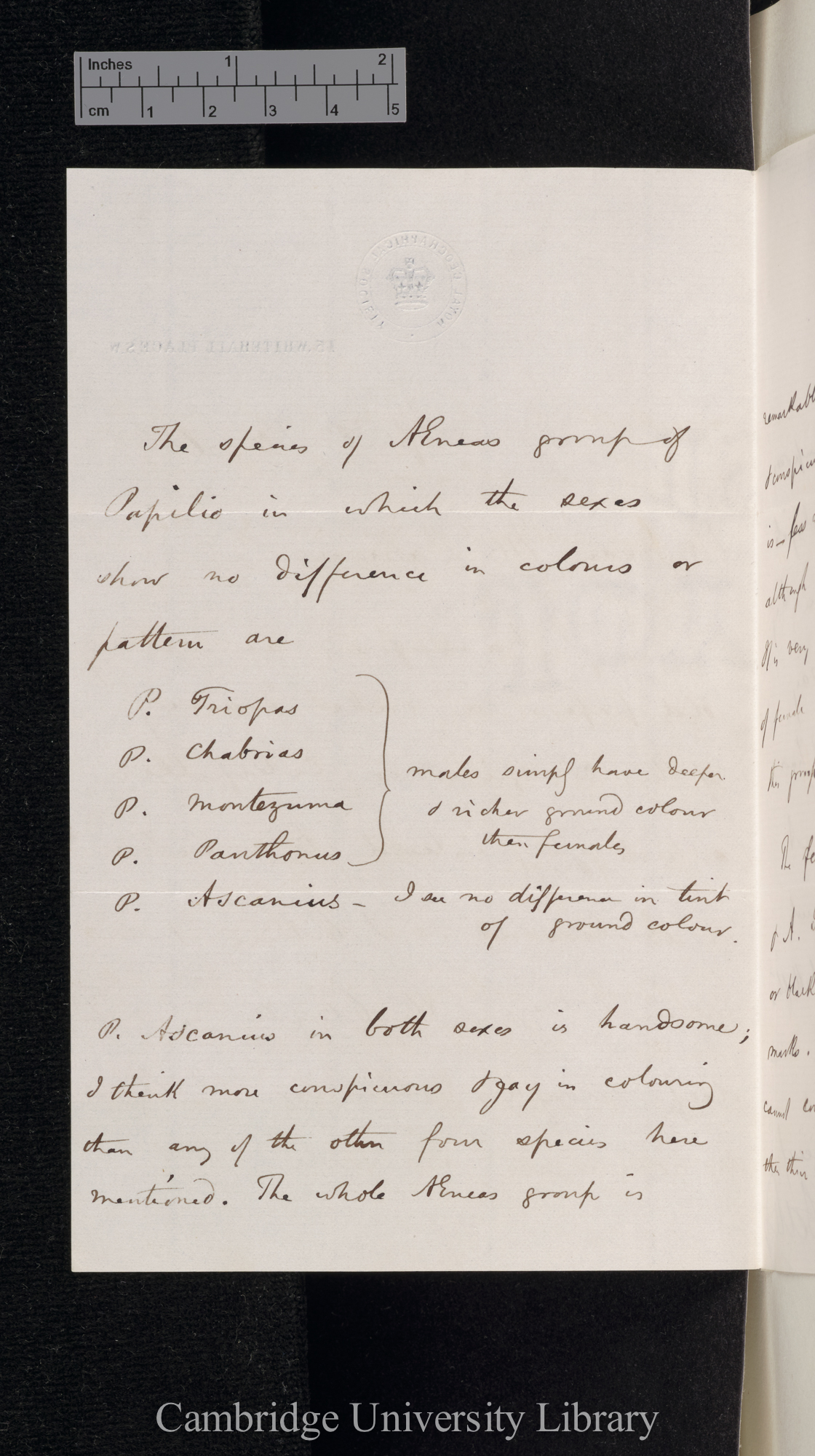 Henry Walter Bates to Charles Robert Darwin