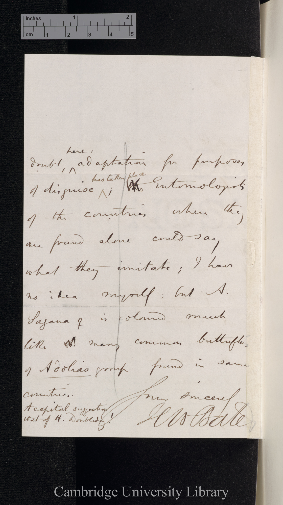 Henry Walter Bates to Charles Robert Darwin