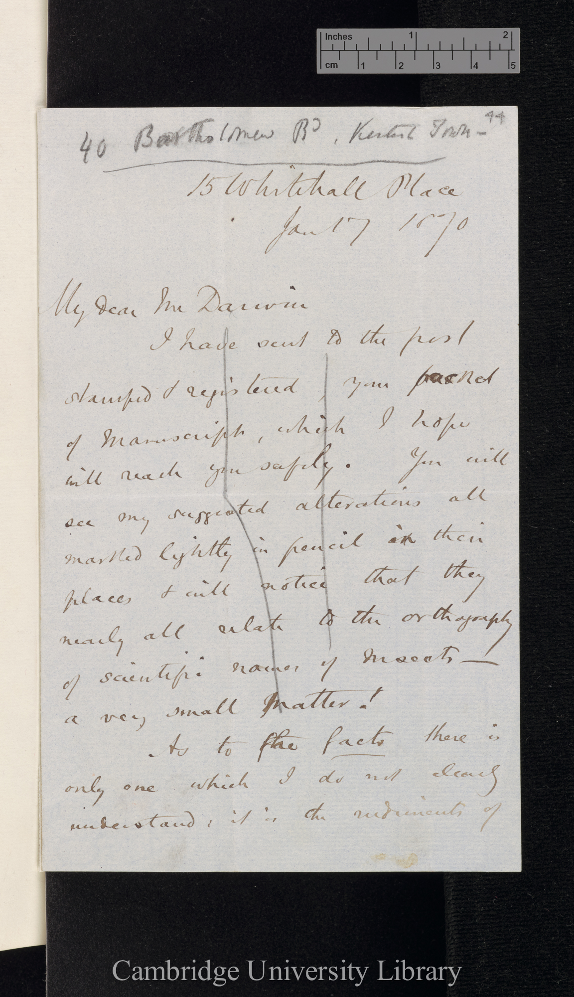 Henry Walter Bates to Charles Robert Darwin