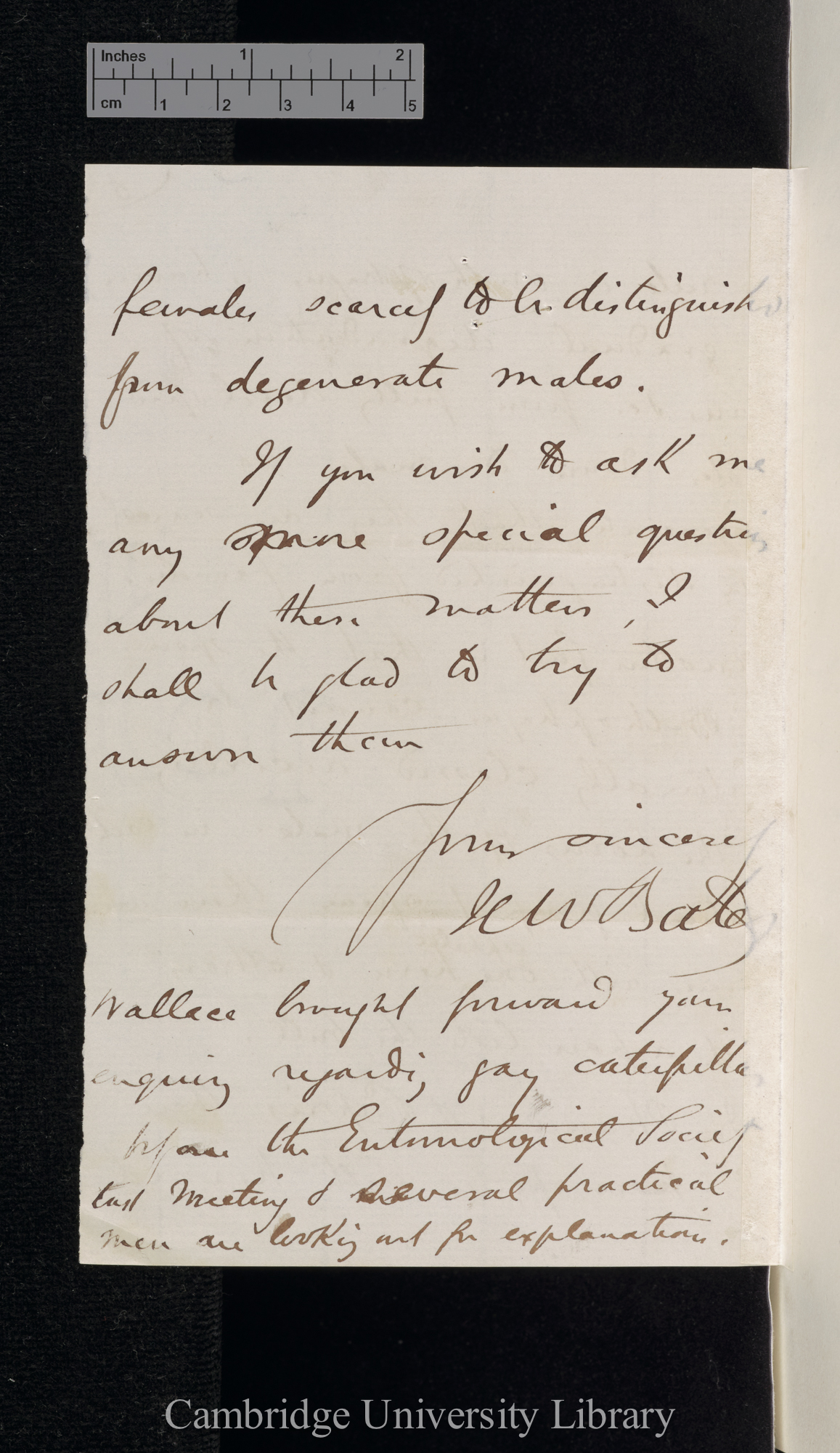 Henry Walter Bates to Charles Robert Darwin