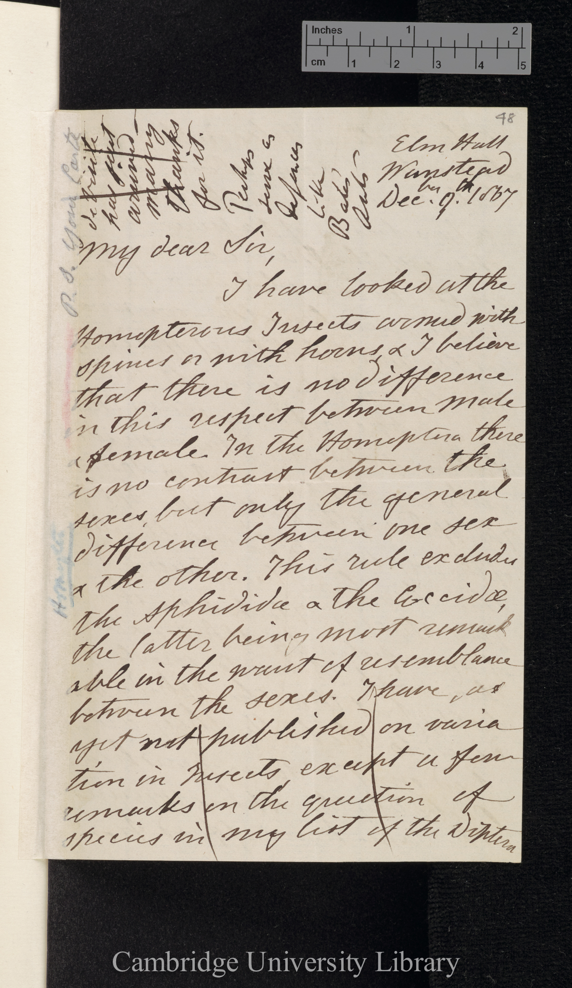 Francis Walker to Charles Robert Darwin