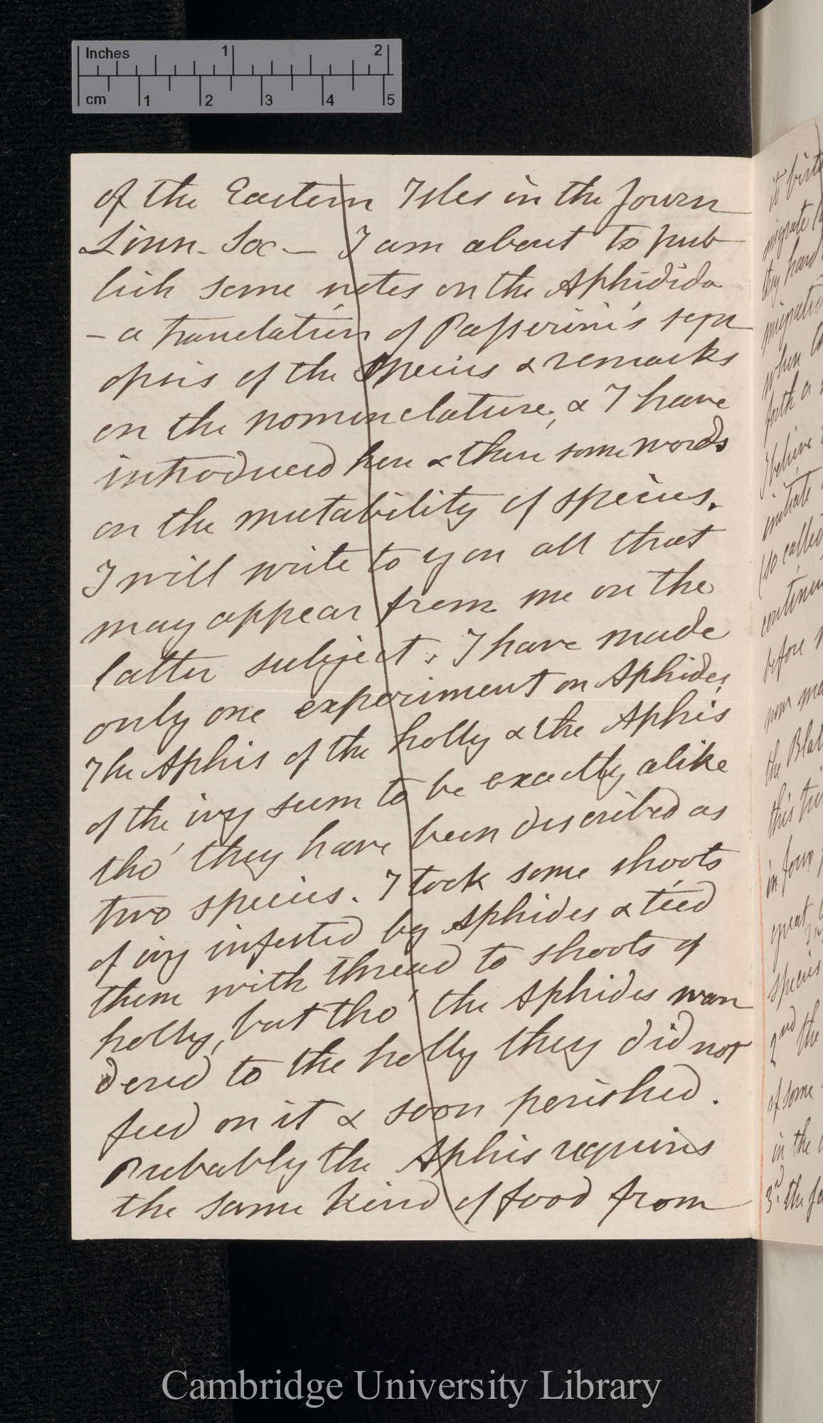 Francis Walker to Charles Robert Darwin