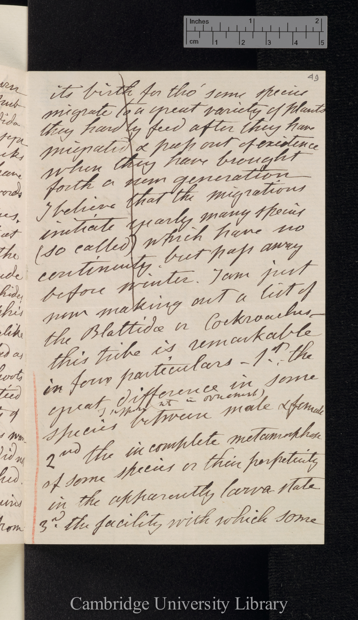 Francis Walker to Charles Robert Darwin